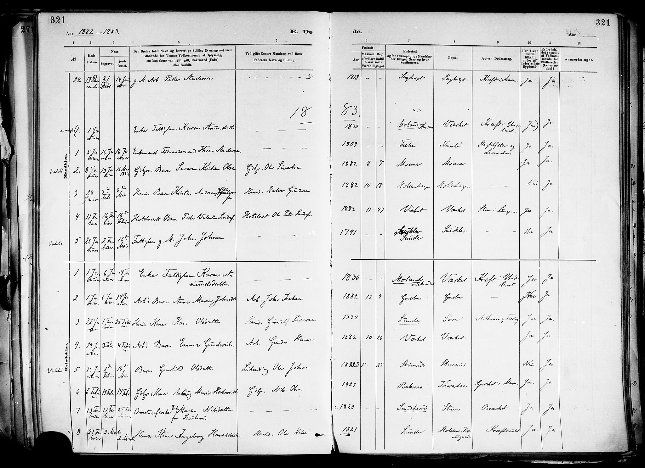 Holla kirkebøker, SAKO/A-272/F/Fa/L0008: Parish register (official) no. 8, 1882-1897, p. 321