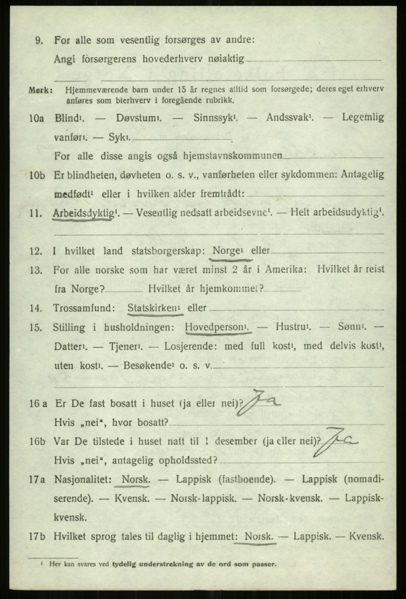SATØ, 1920 census for Tromsøysund, 1920, p. 14181