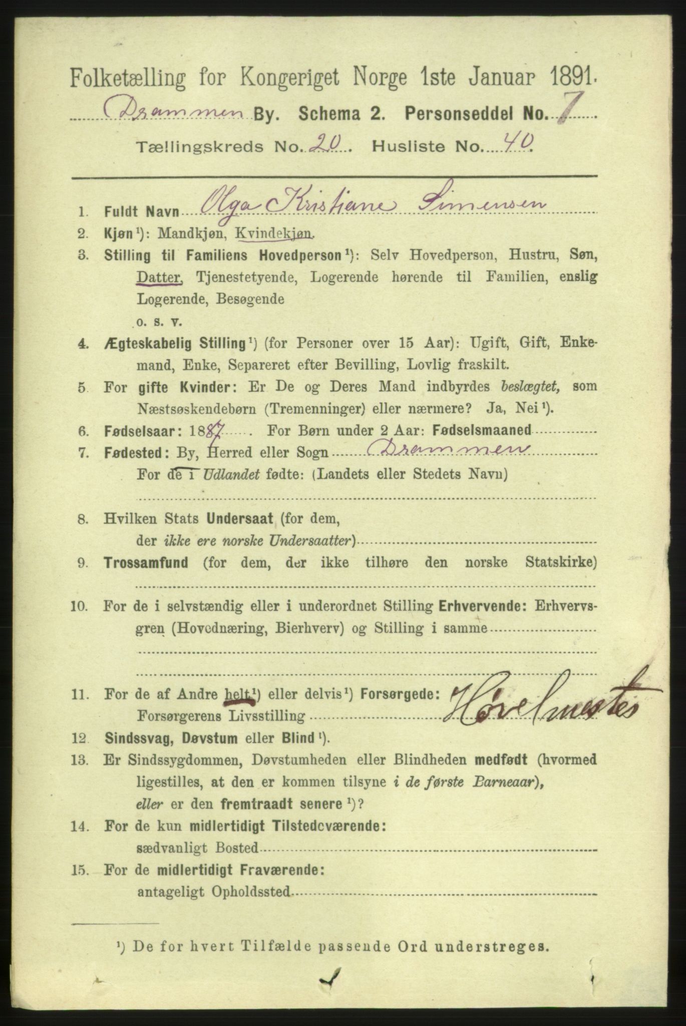 RA, 1891 census for 0602 Drammen, 1891, p. 13021