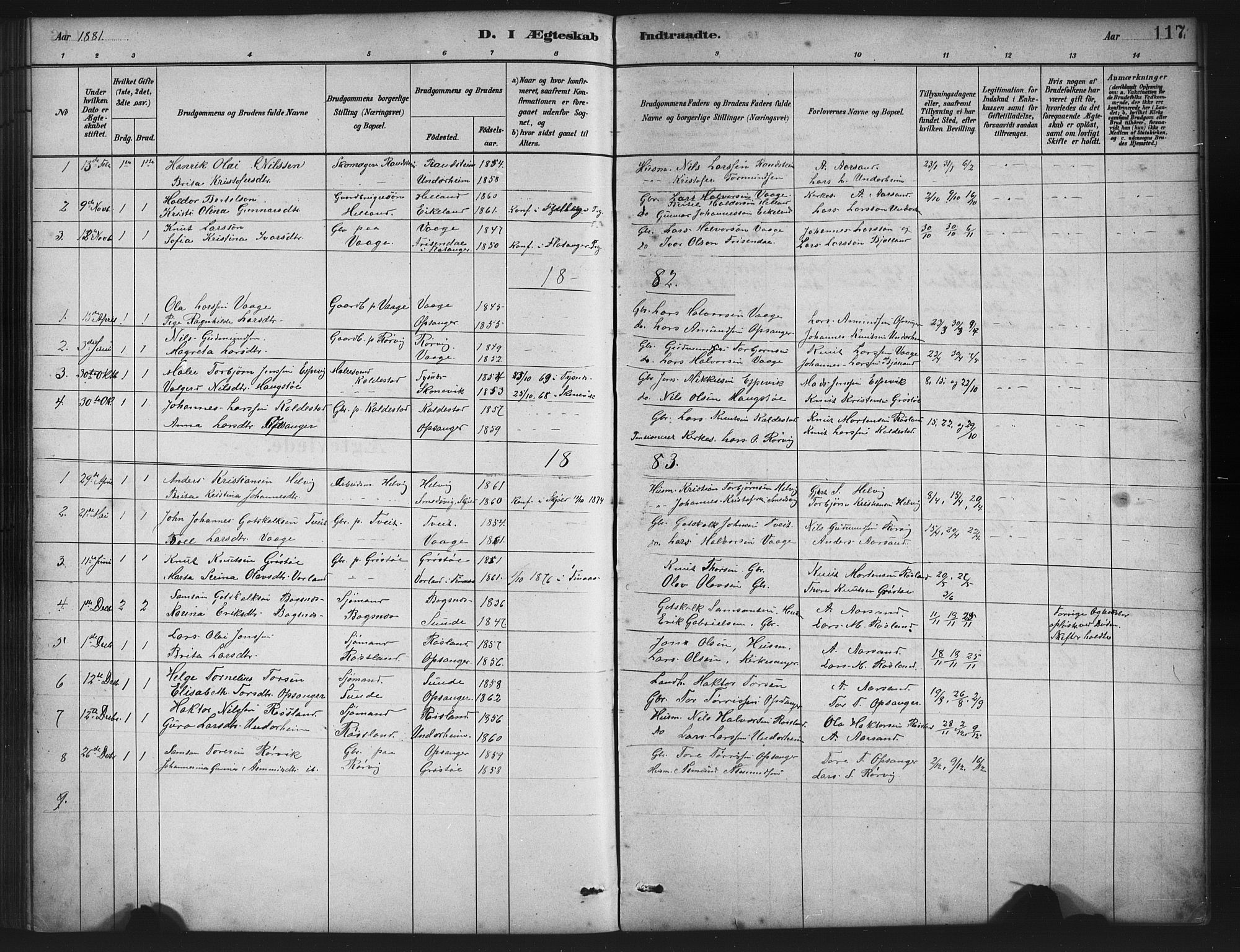 Husnes Sokneprestembete, SAB/A-75901/H/Hab: Parish register (copy) no. A 2, 1881-1917, p. 117