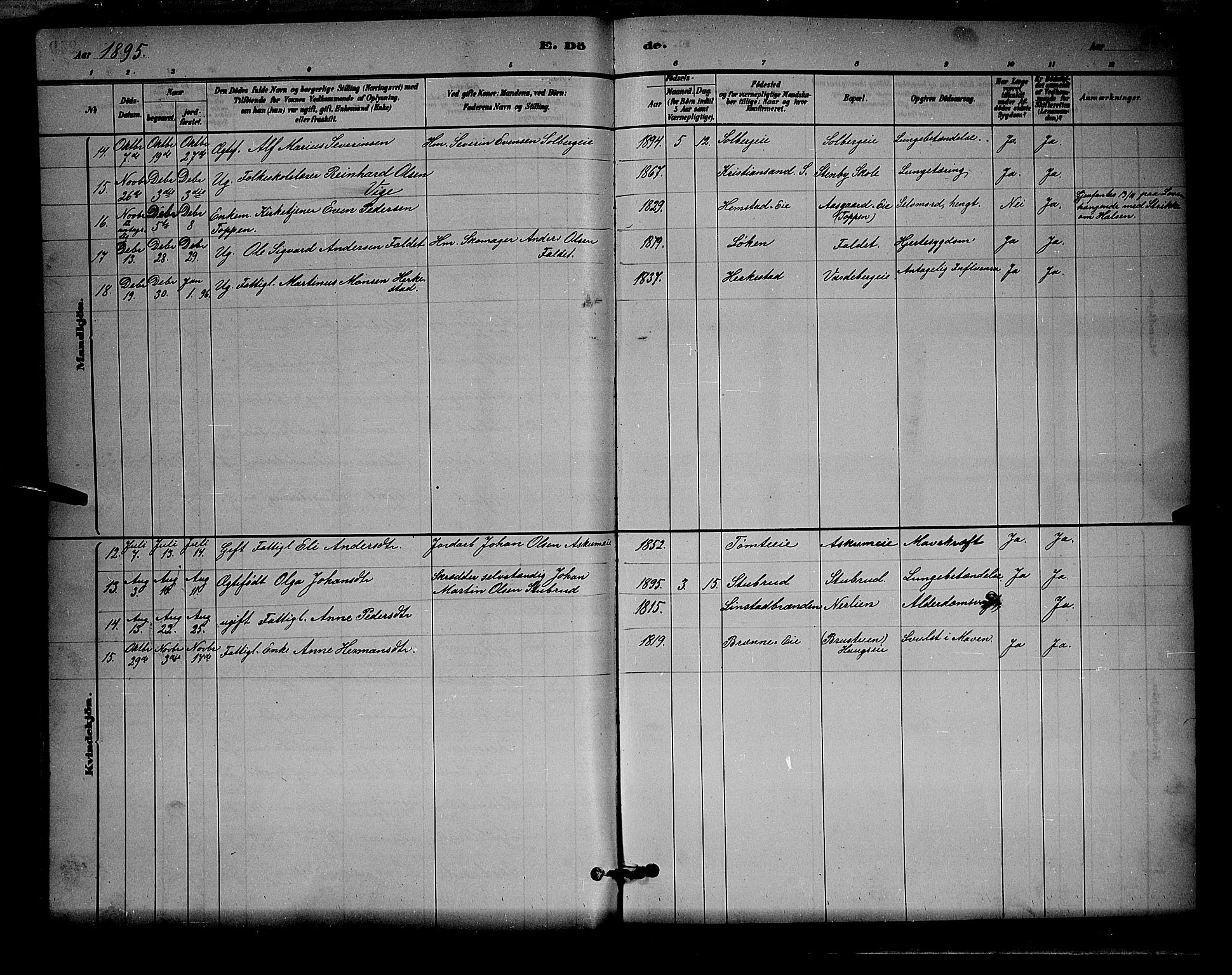 Stange prestekontor, AV/SAH-PREST-002/L/L0008: Parish register (copy) no. 8, 1882-1895, p. 250