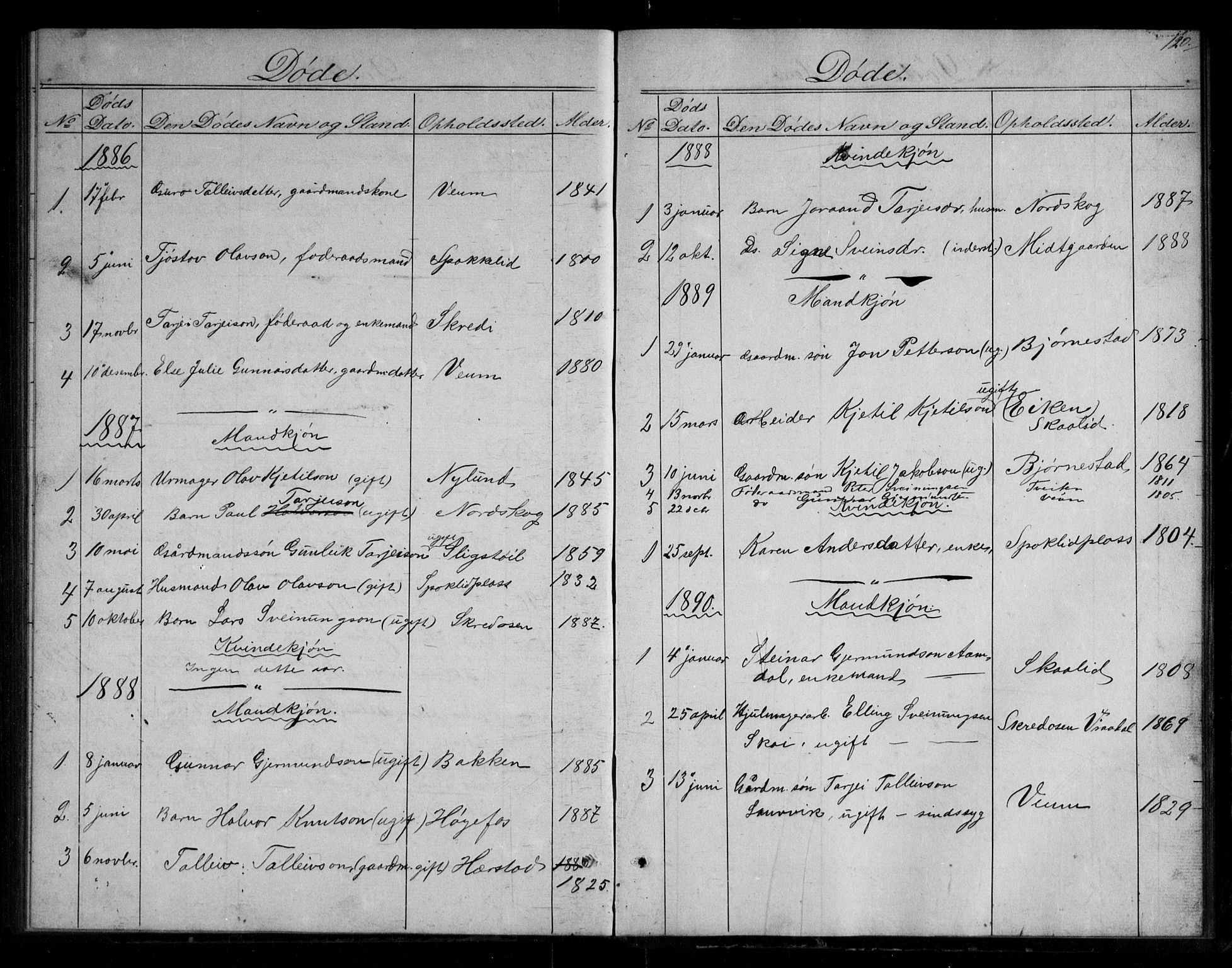 Fyresdal kirkebøker, SAKO/A-263/G/Gb/L0001: Parish register (copy) no. II 1, 1864-1890, p. 120