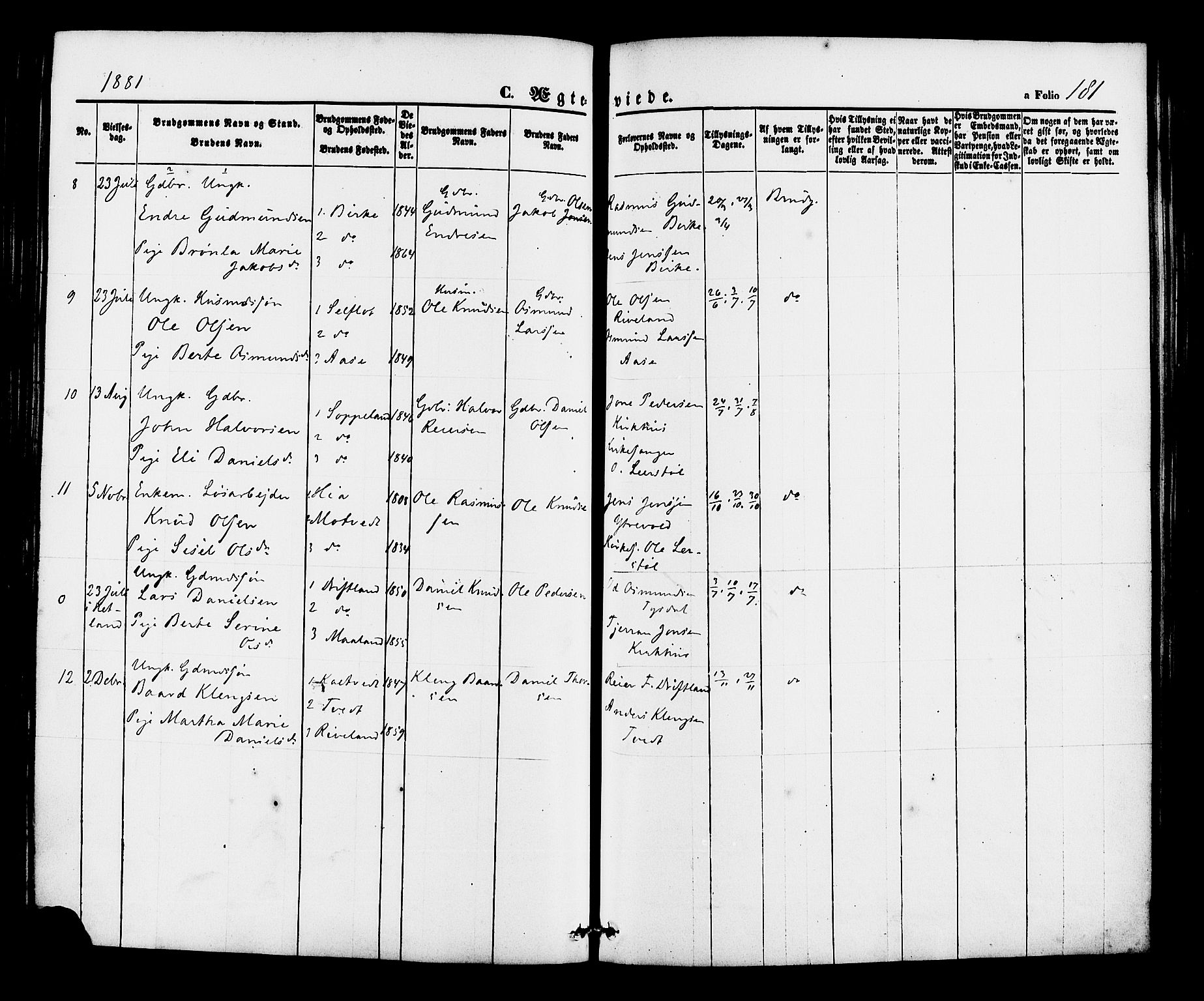 Hjelmeland sokneprestkontor, AV/SAST-A-101843/01/IV/L0012: Parish register (official) no. A 12, 1862-1886, p. 181