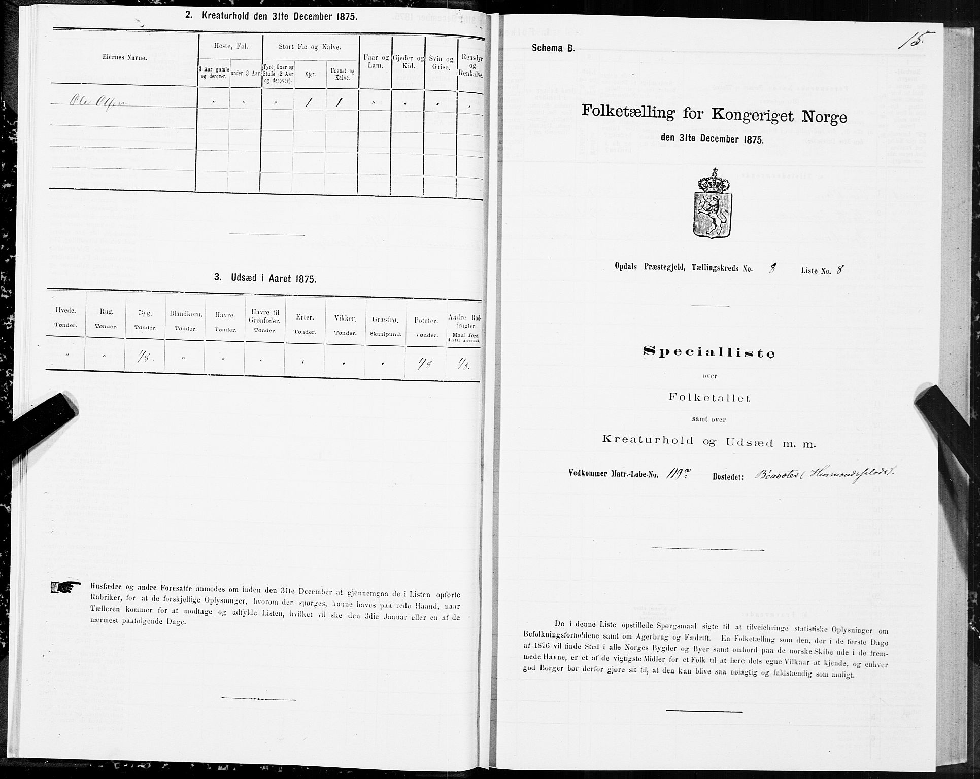 SAT, 1875 census for 1634P Oppdal, 1875, p. 5015