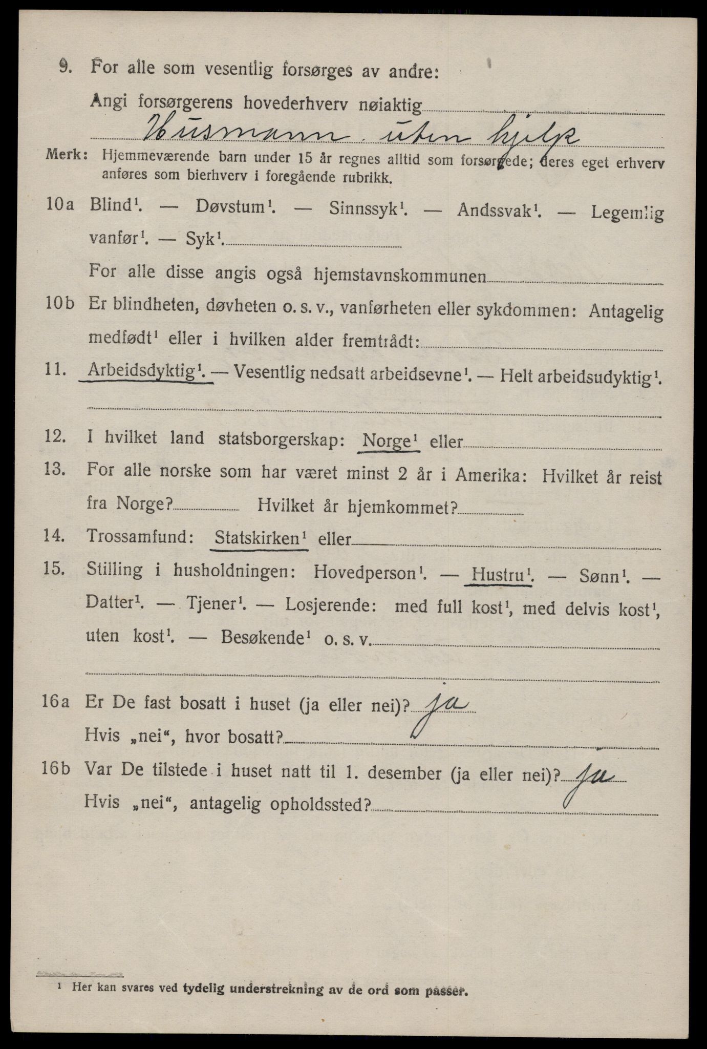 SAKO, 1920 census for Nissedal, 1920, p. 2024