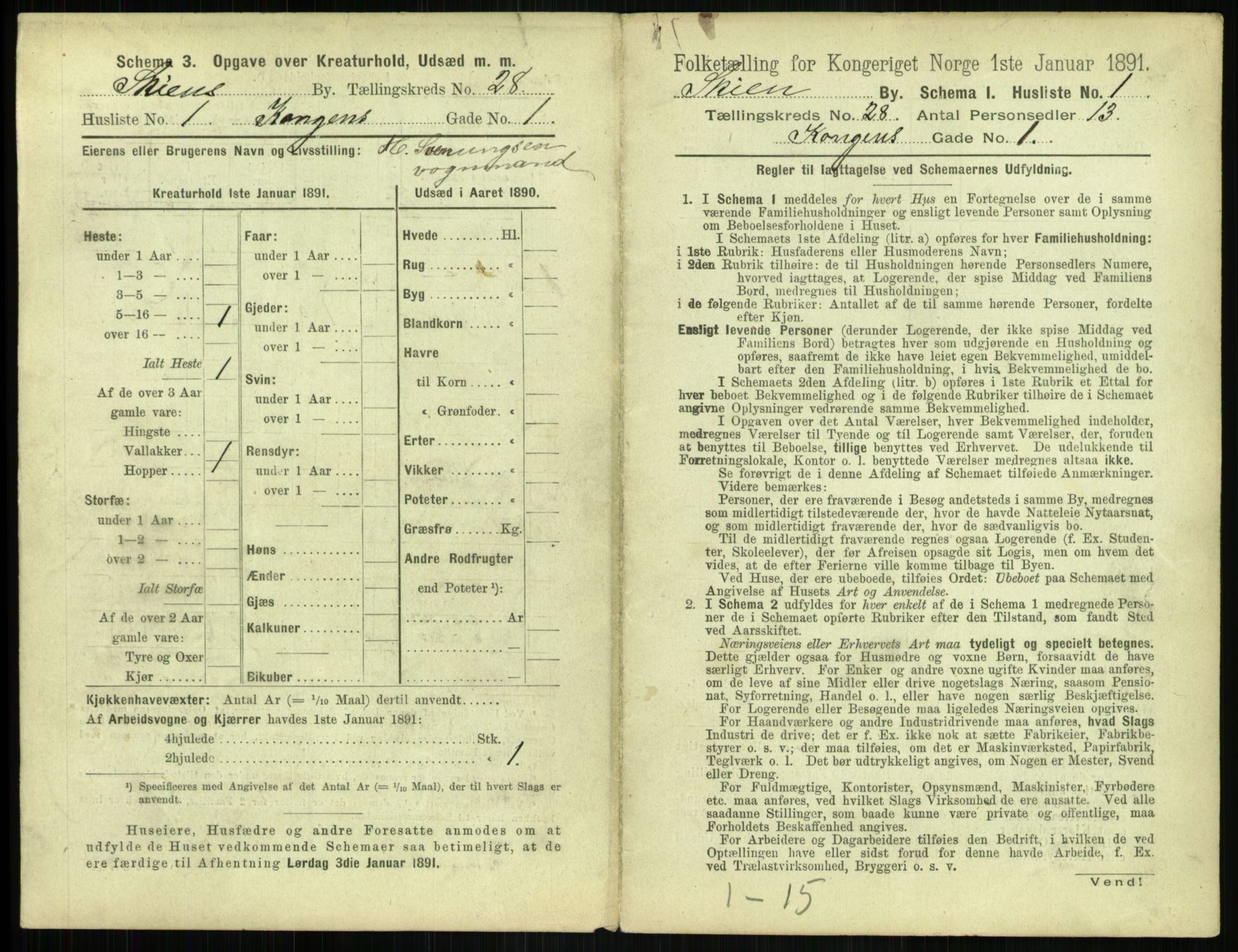 RA, 1891 census for 0806 Skien, 1891, p. 1038