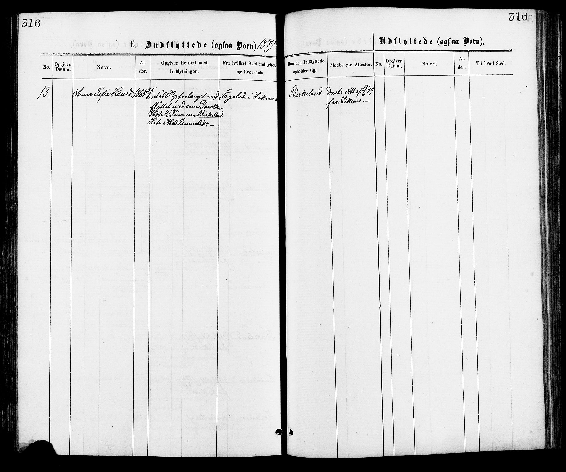 Hægebostad sokneprestkontor, AV/SAK-1111-0024/F/Fa/Faa/L0005: Parish register (official) no. A 5, 1864-1886, p. 316