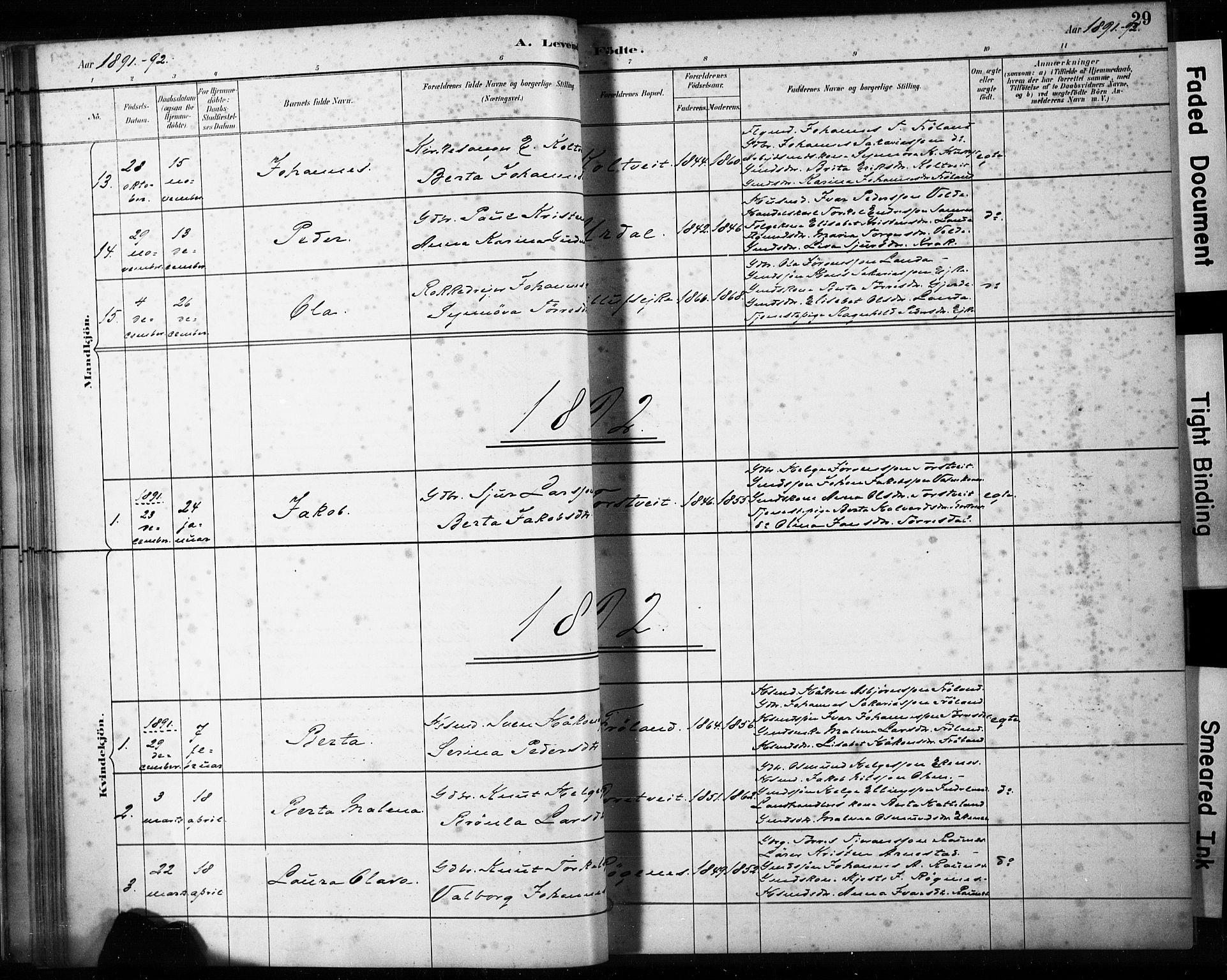 Skjold sokneprestkontor, AV/SAST-A-101847/H/Ha/Haa/L0009: Parish register (official) no. A 9, 1882-1898, p. 29