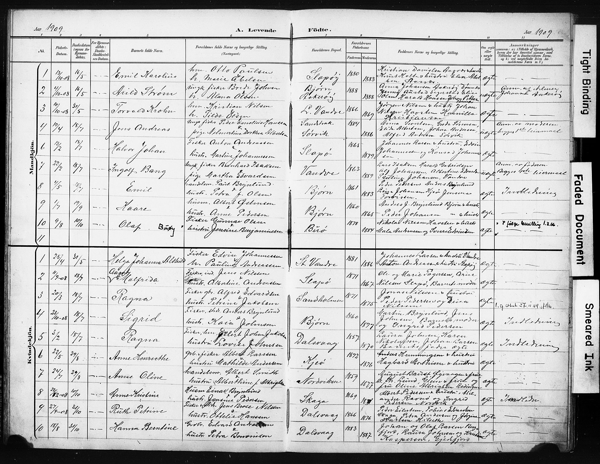 Ministerialprotokoller, klokkerbøker og fødselsregistre - Nordland, AV/SAT-A-1459/836/L0538: Parish register (copy) no. 836C02, 1901-1917
