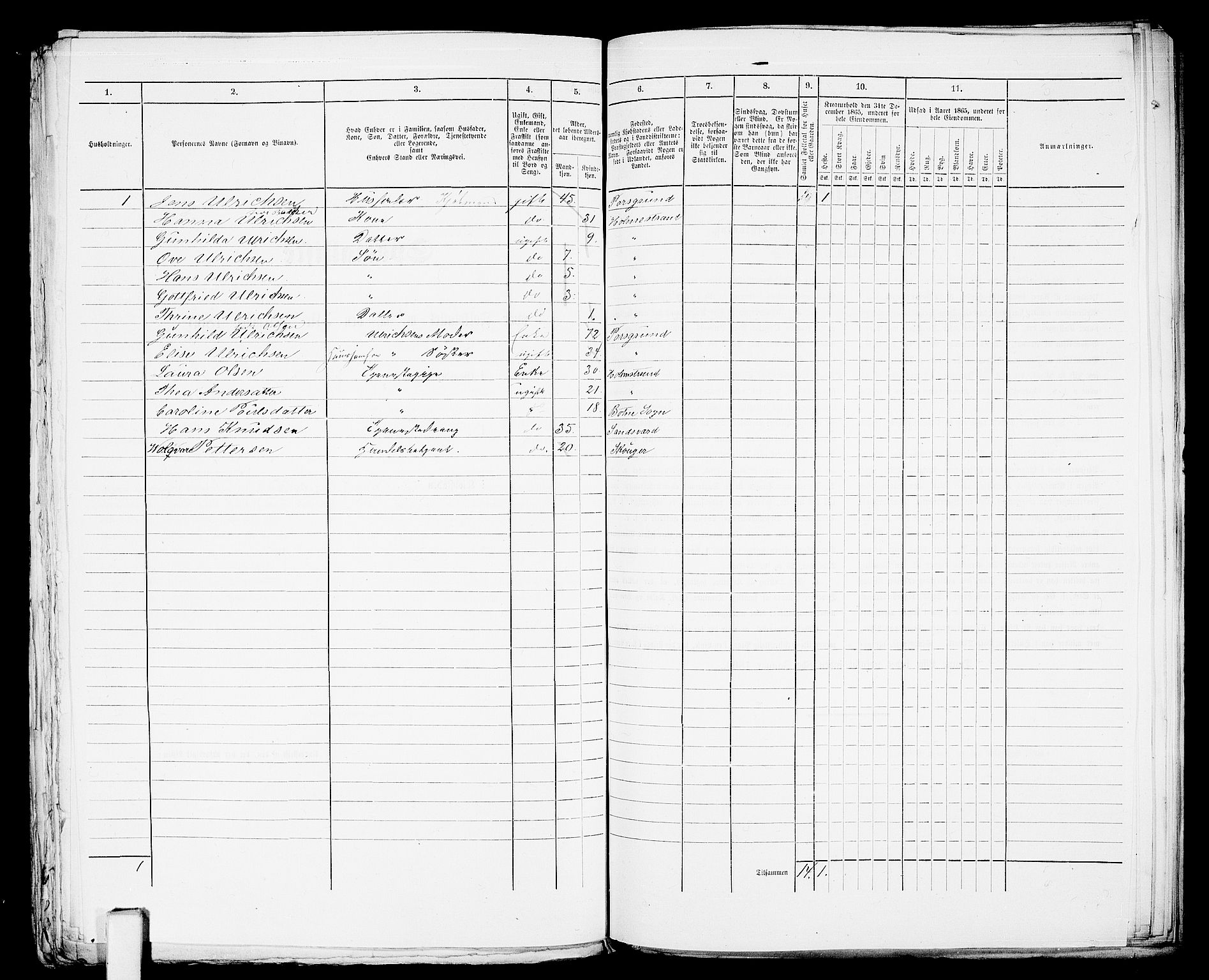 RA, 1865 census for Botne/Holmestrand, 1865, p. 336