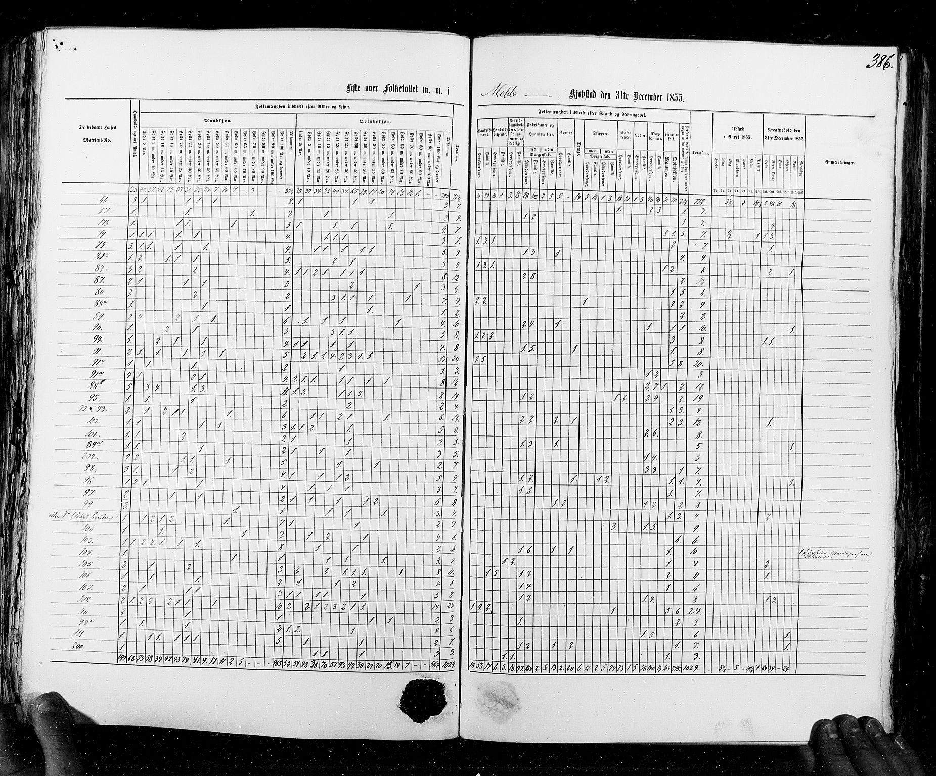 RA, Census 1855, vol. 8: Risør-Vadsø, 1855, p. 386