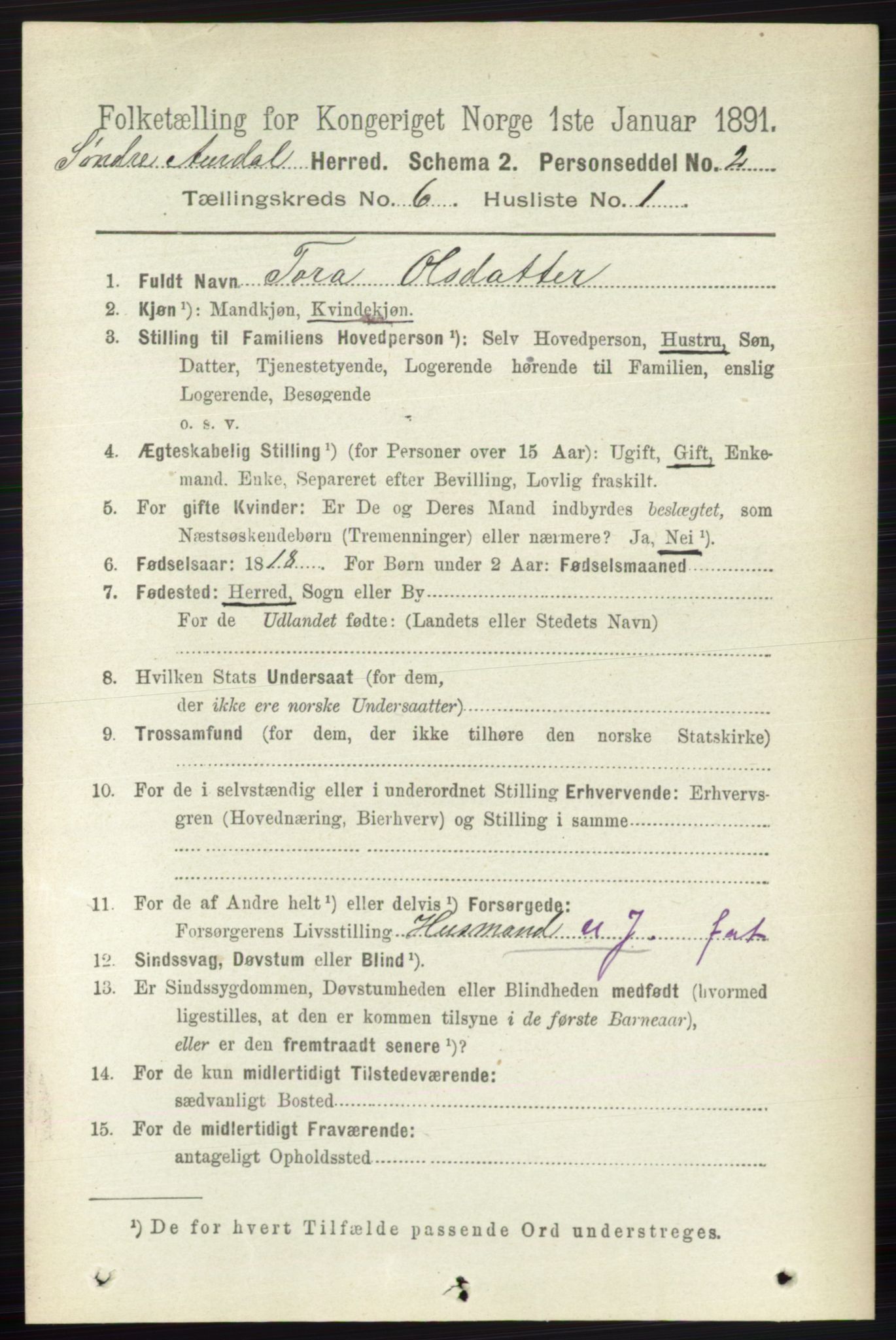 RA, 1891 census for 0540 Sør-Aurdal, 1891, p. 3812