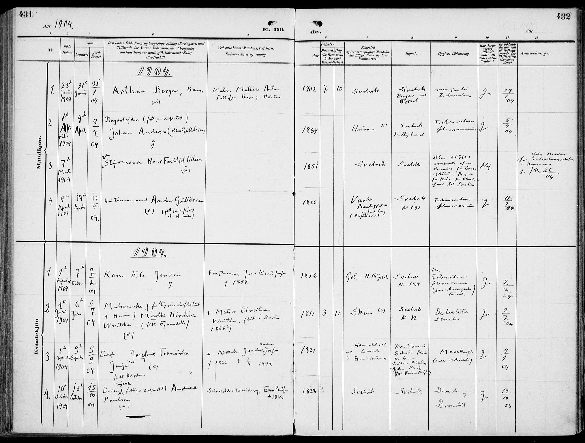 Strømm kirkebøker, SAKO/A-322/F/Fb/L0002: Parish register (official) no. II 2, 1900-1919, p. 431-432