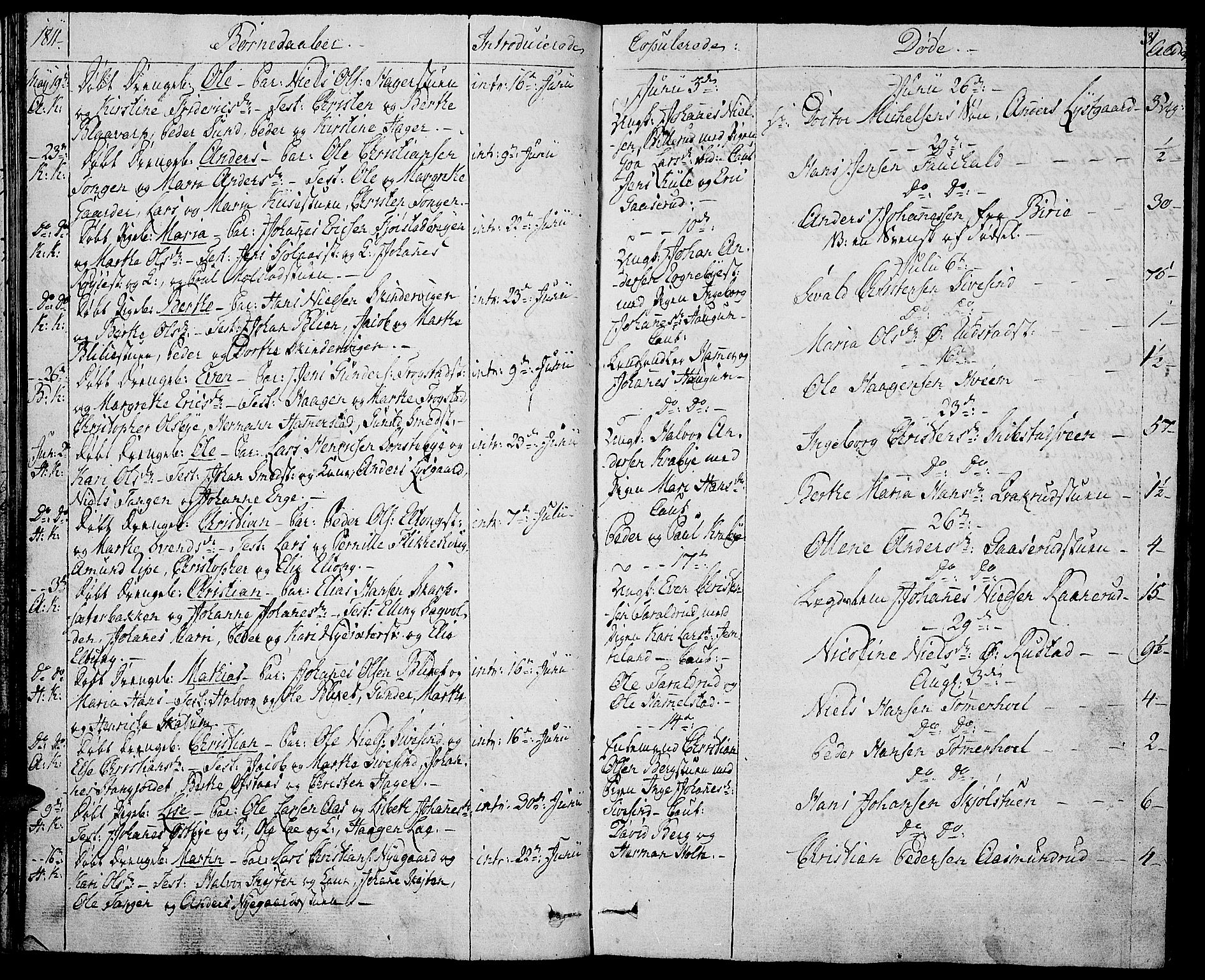 Toten prestekontor, SAH/PREST-102/H/Ha/Haa/L0008: Parish register (official) no. 8, 1809-1814, p. 31