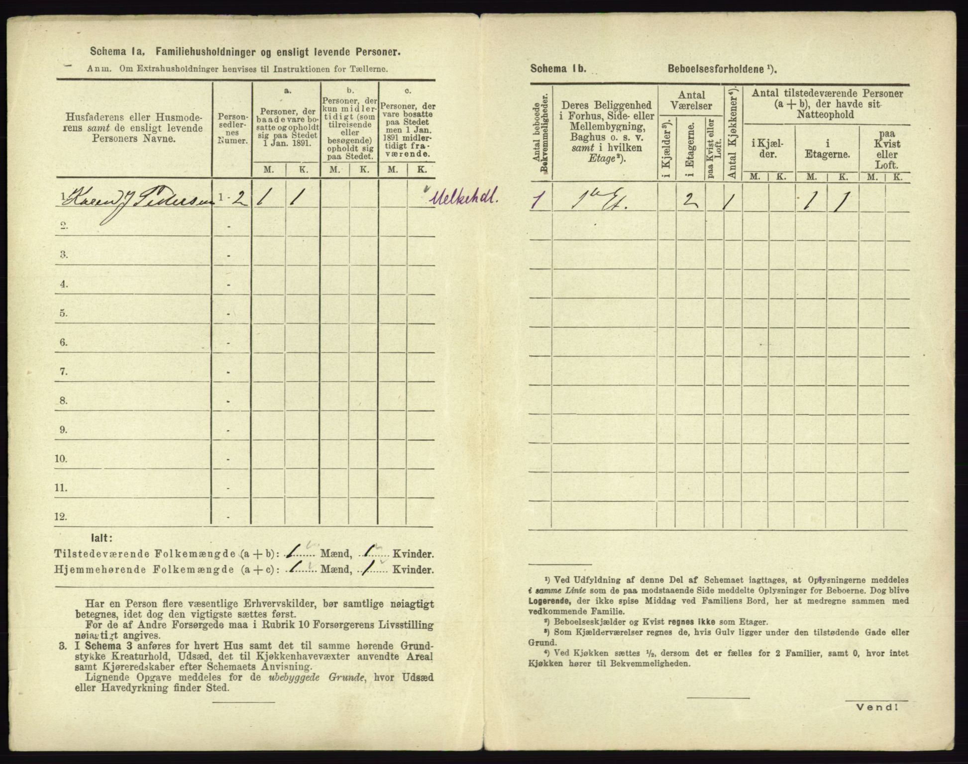 RA, 1891 census for 0602 Drammen, 1891, p. 1910