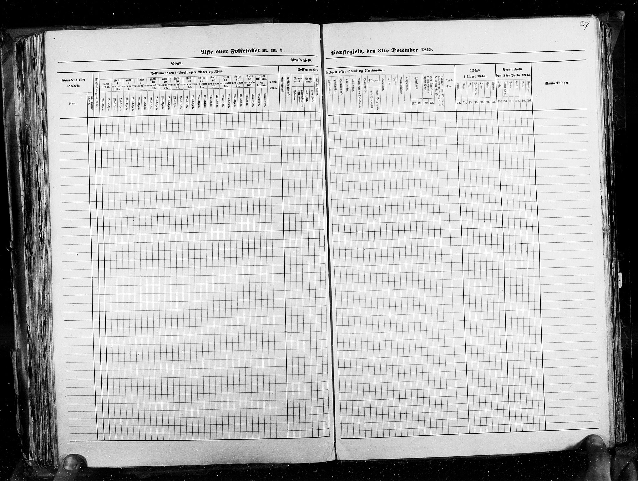 RA, Census 1845, vol. 3: Hedemarken amt og Kristians amt, 1845, p. 217