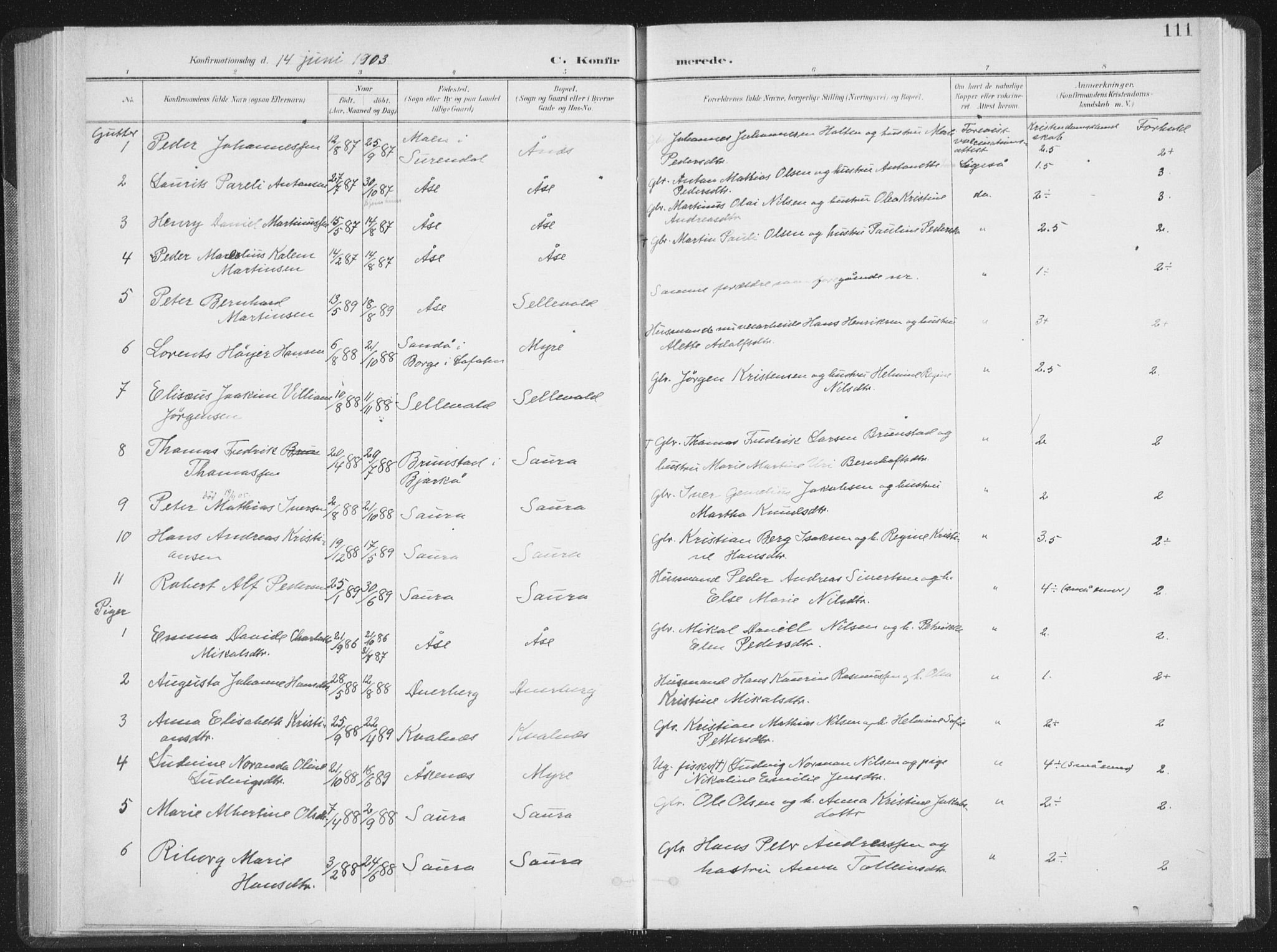 Ministerialprotokoller, klokkerbøker og fødselsregistre - Nordland, SAT/A-1459/897/L1400: Parish register (official) no. 897A07, 1897-1908, p. 111