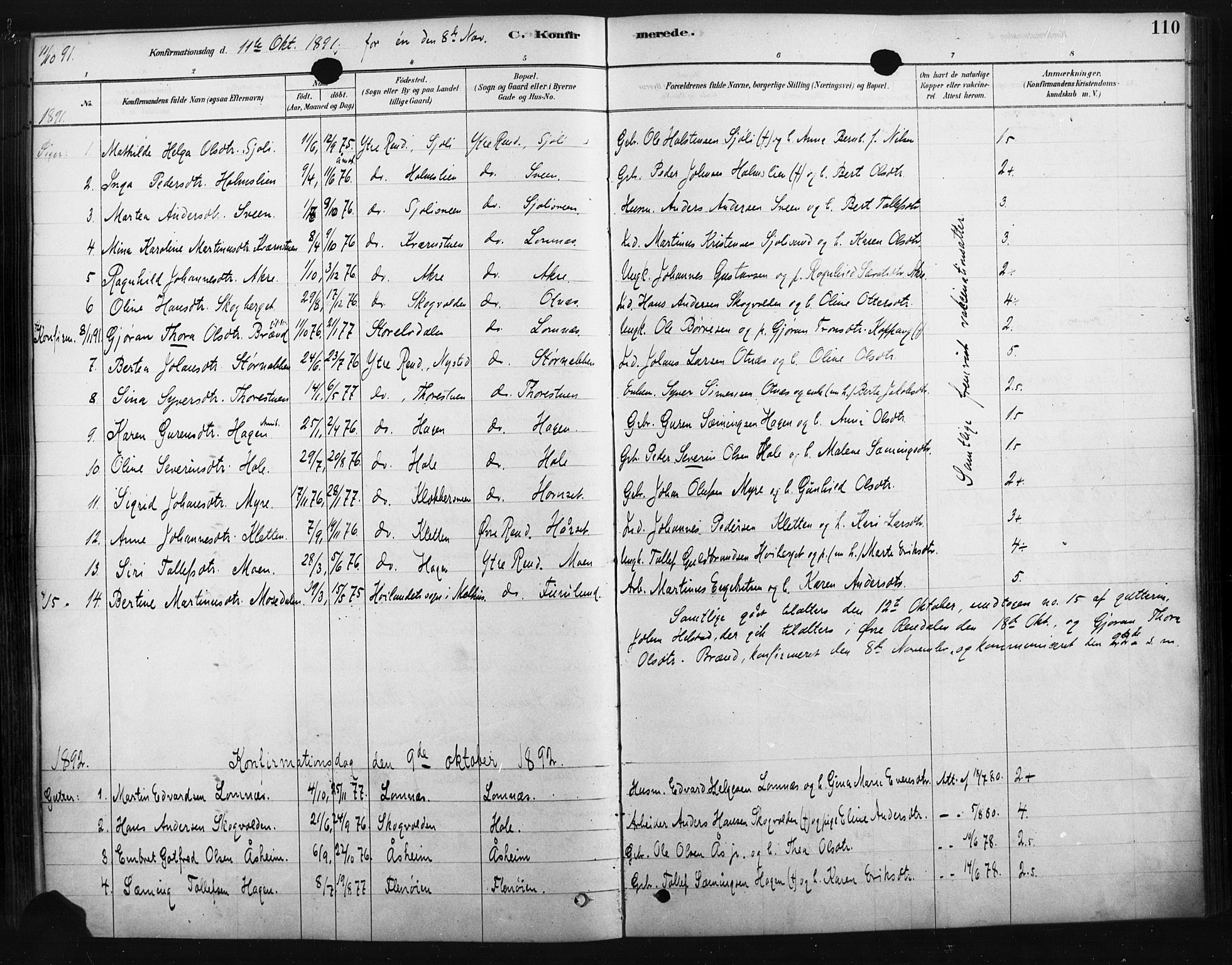 Rendalen prestekontor, AV/SAH-PREST-054/H/Ha/Haa/L0010: Parish register (official) no. 10, 1878-1901, p. 110