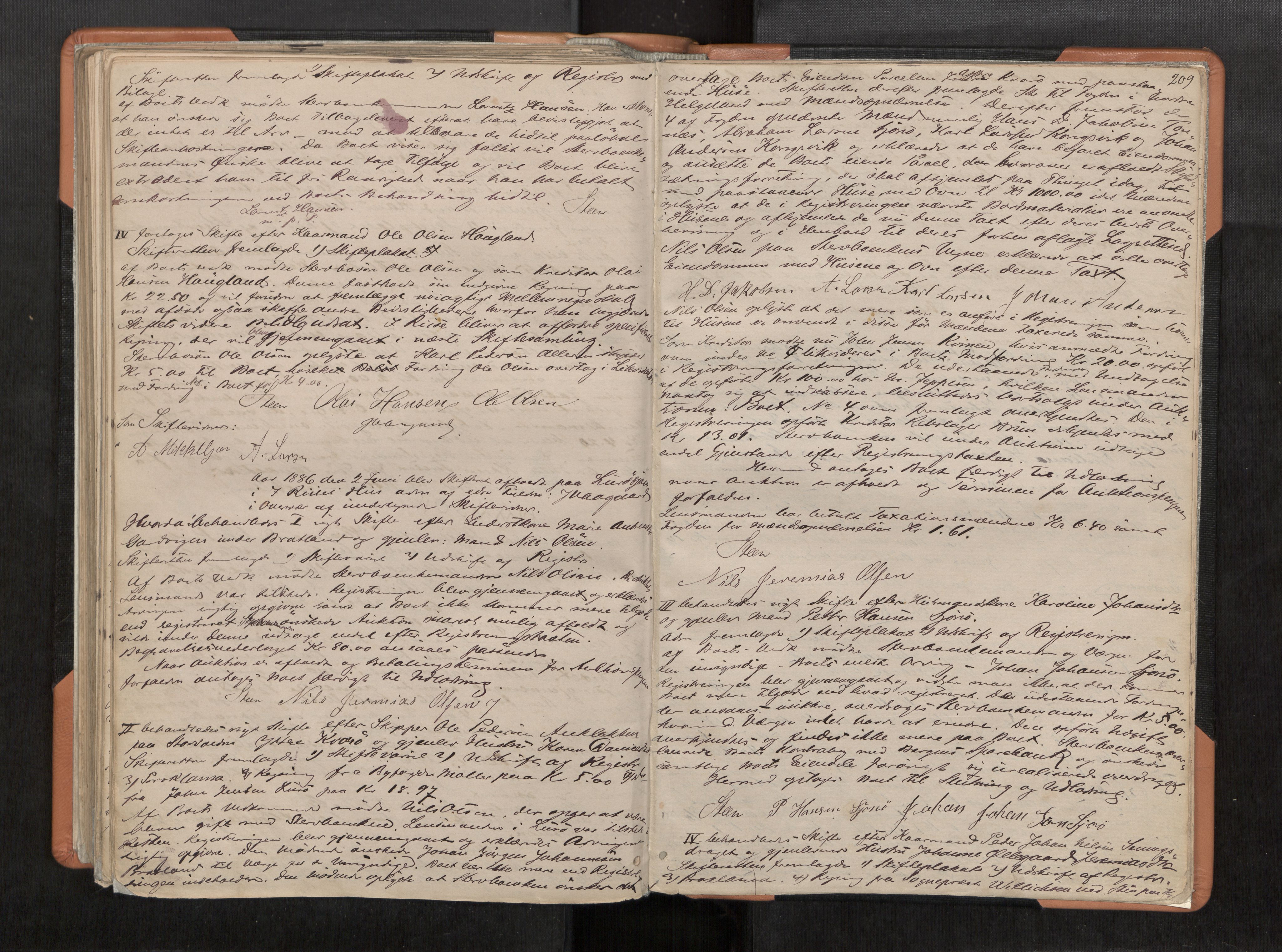Rana sorenskriveri , AV/SAT-A-1108/1/3/3B/L0004: Skiftebehandlingsprotokoll, 1877-1886, p. 209