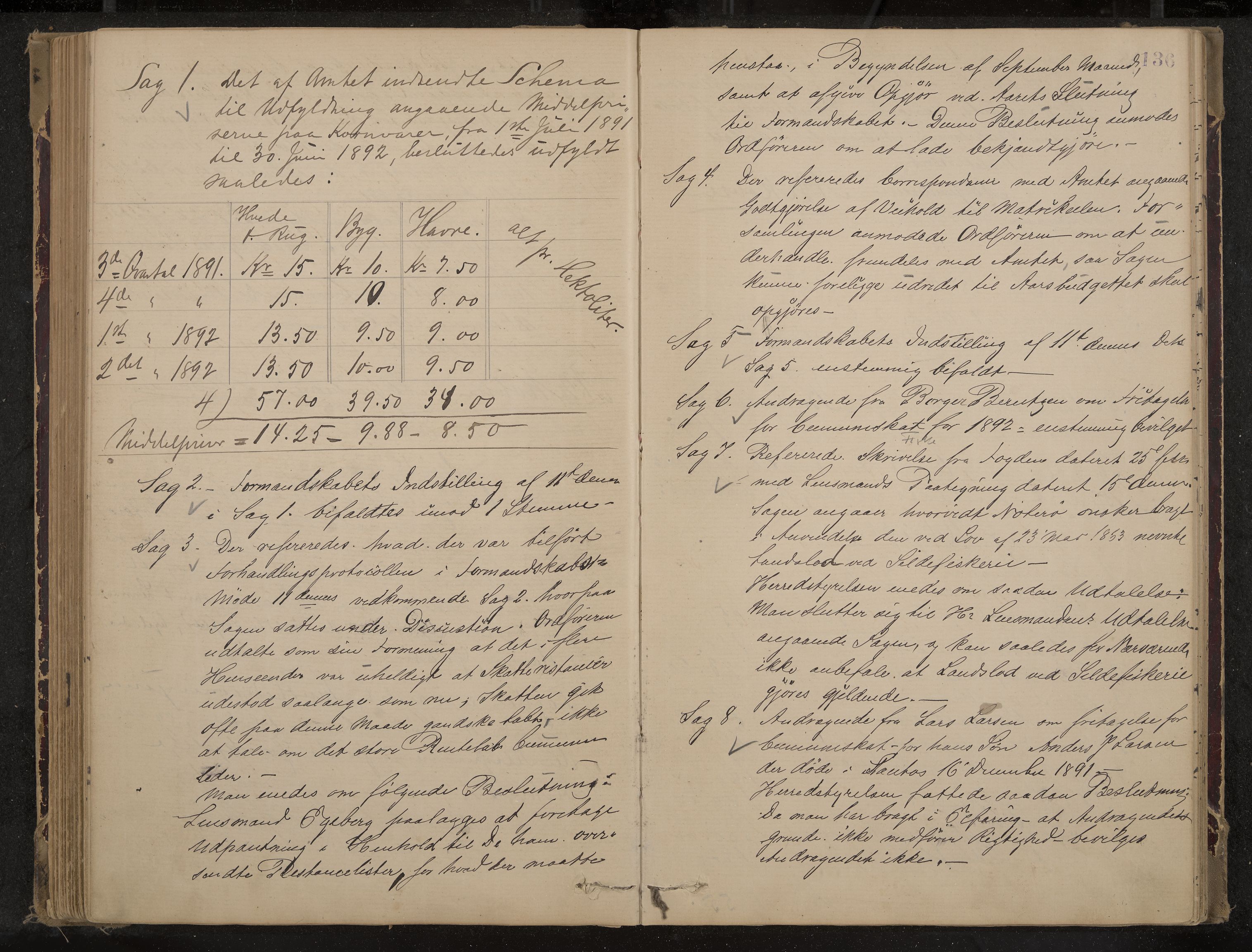 Nøtterøy formannskap og sentraladministrasjon, IKAK/0722021-1/A/Aa/L0004: Møtebok, 1887-1896, p. 136