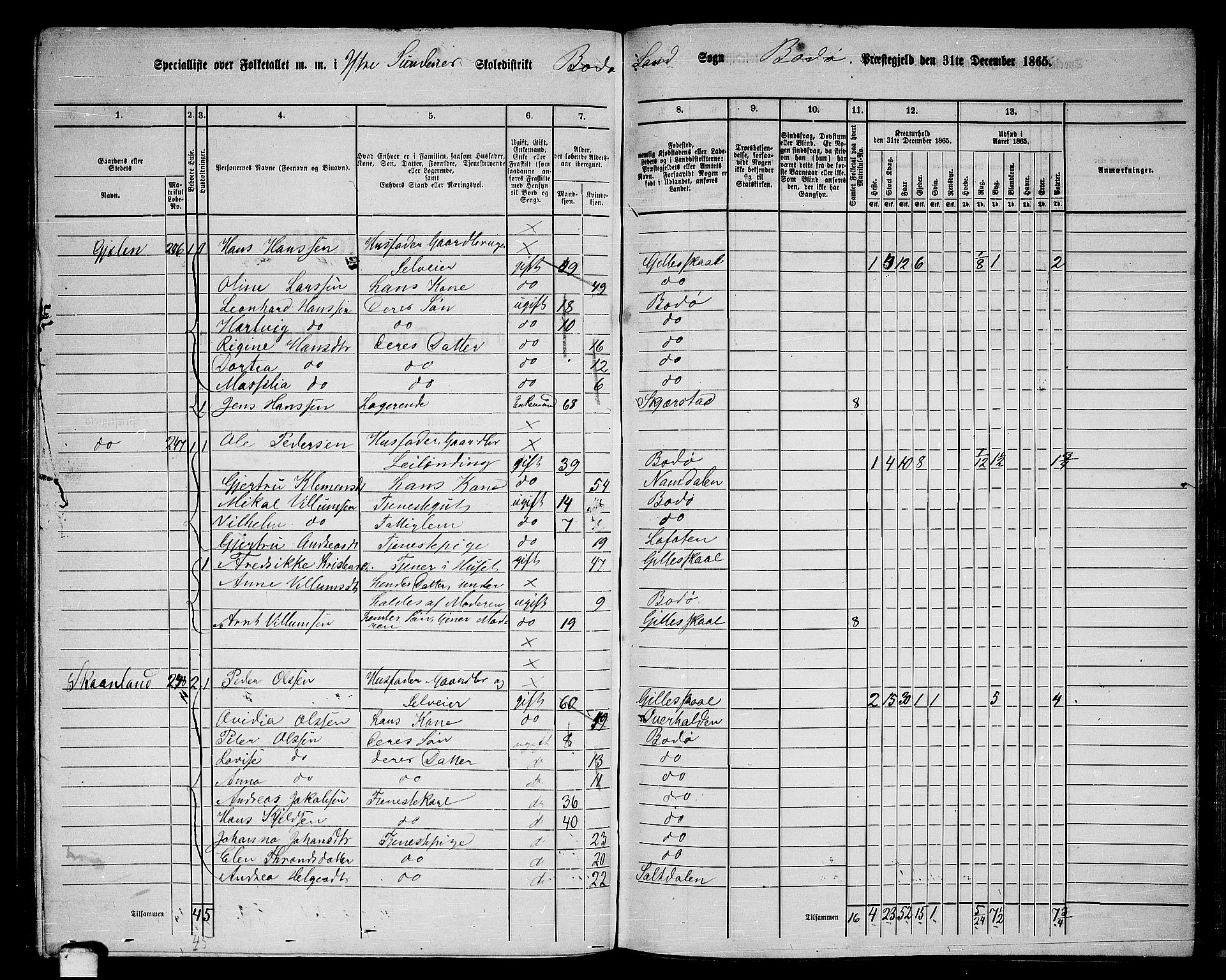 RA, 1865 census for Bodø/Bodø, 1865, p. 106