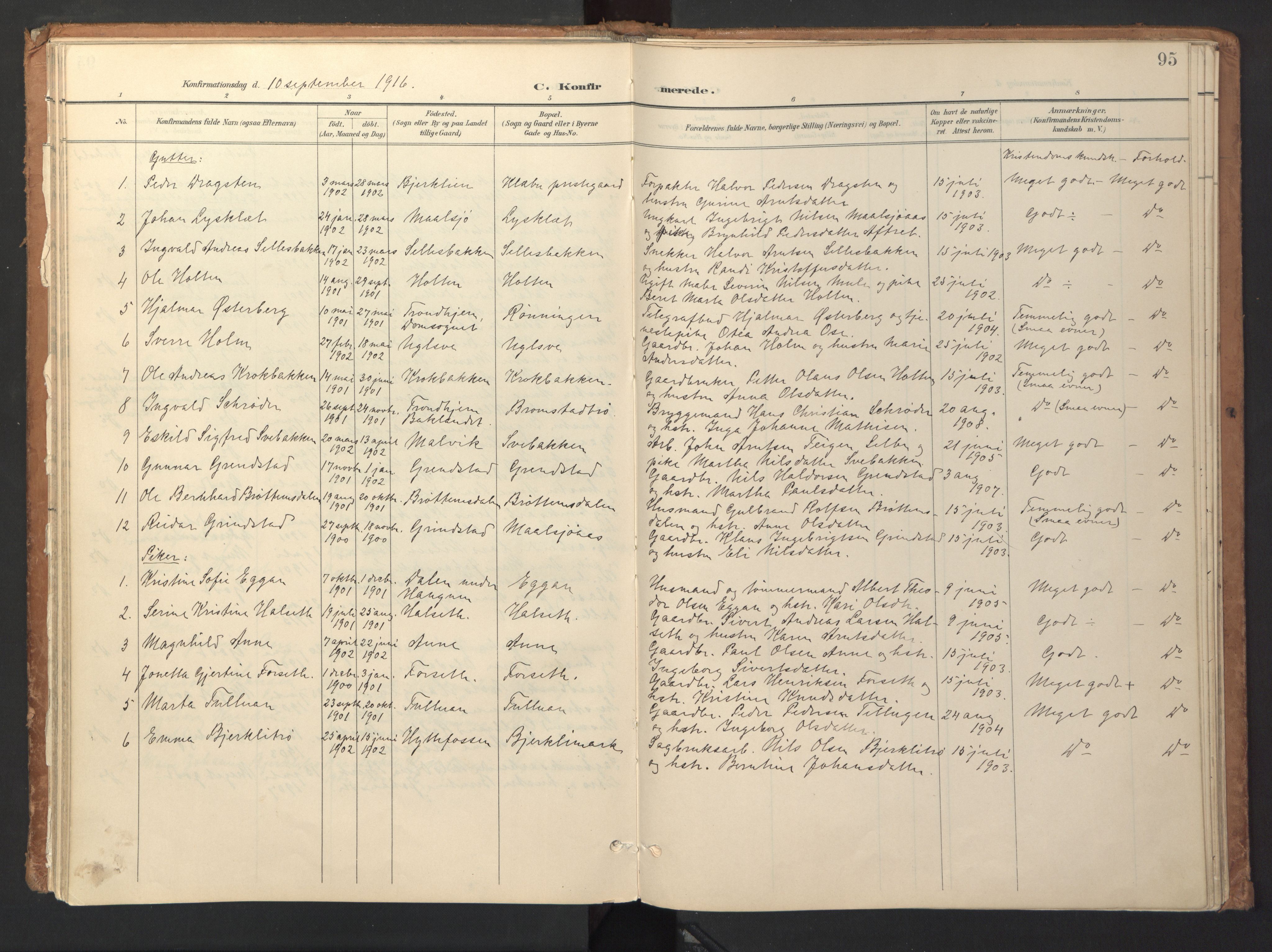 Ministerialprotokoller, klokkerbøker og fødselsregistre - Sør-Trøndelag, SAT/A-1456/618/L0448: Parish register (official) no. 618A11, 1898-1916, p. 95