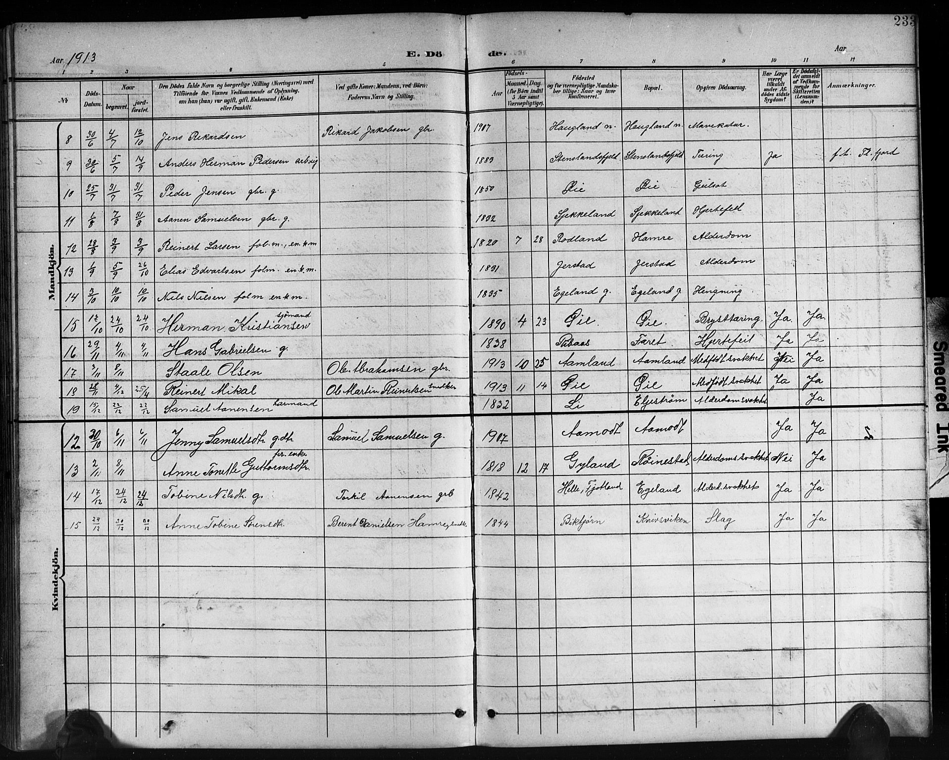 Kvinesdal sokneprestkontor, AV/SAK-1111-0026/F/Fb/Fbb/L0003: Parish register (copy) no. B 3, 1898-1916, p. 233