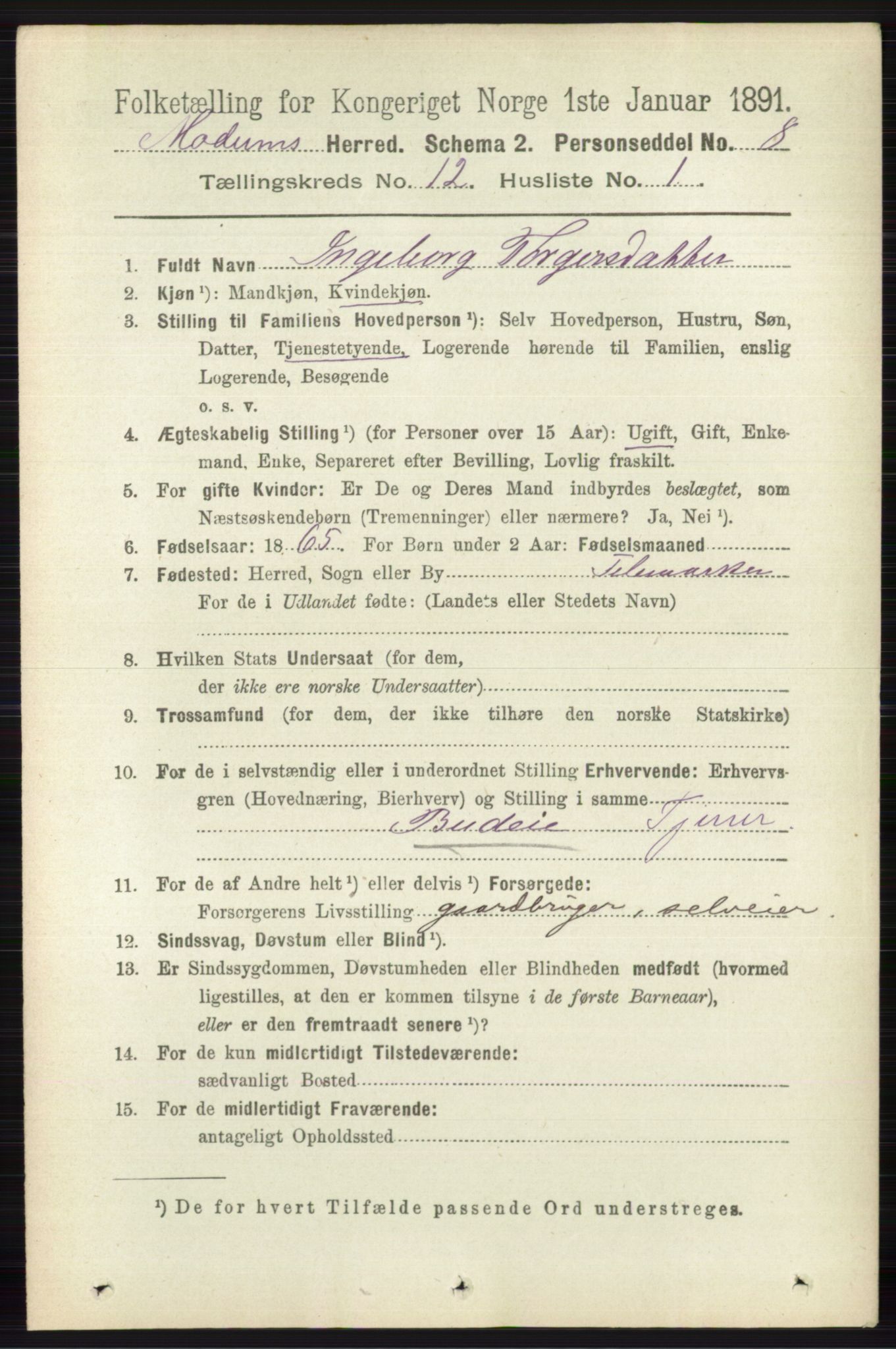 RA, 1891 census for 0623 Modum, 1891, p. 4462