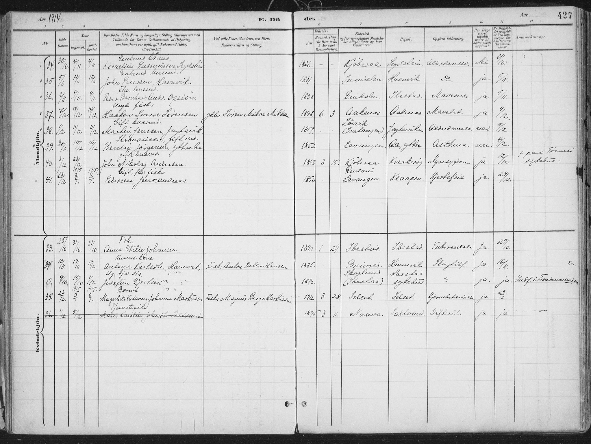 Ibestad sokneprestembete, AV/SATØ-S-0077/H/Ha/Haa/L0017kirke: Parish register (official) no. 17, 1901-1914, p. 427