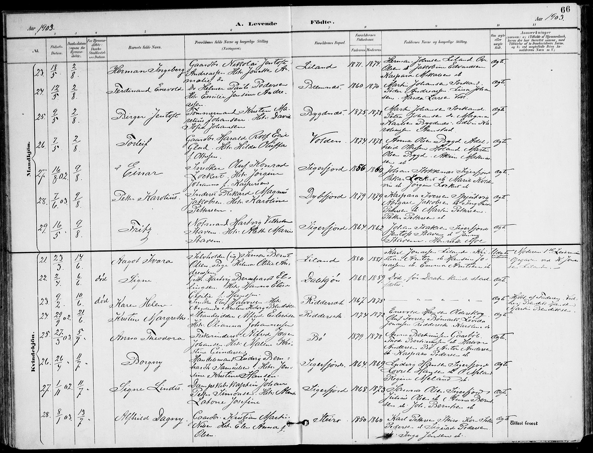Ministerialprotokoller, klokkerbøker og fødselsregistre - Nordland, SAT/A-1459/895/L1372: Parish register (official) no. 895A07, 1894-1914, p. 66
