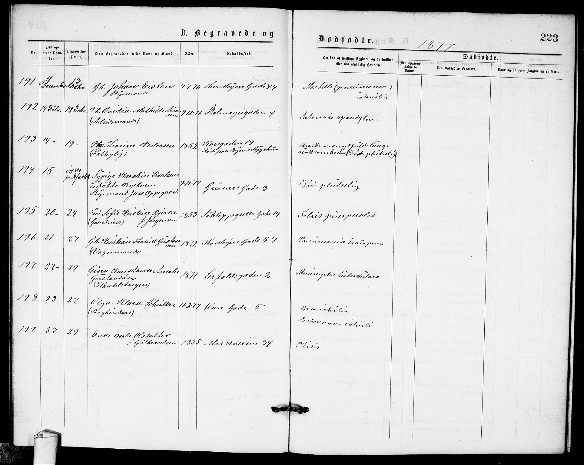 Paulus prestekontor Kirkebøker, AV/SAO-A-10871/G/Ga/L0001: Parish register (copy) no. 1, 1875-1878, p. 223