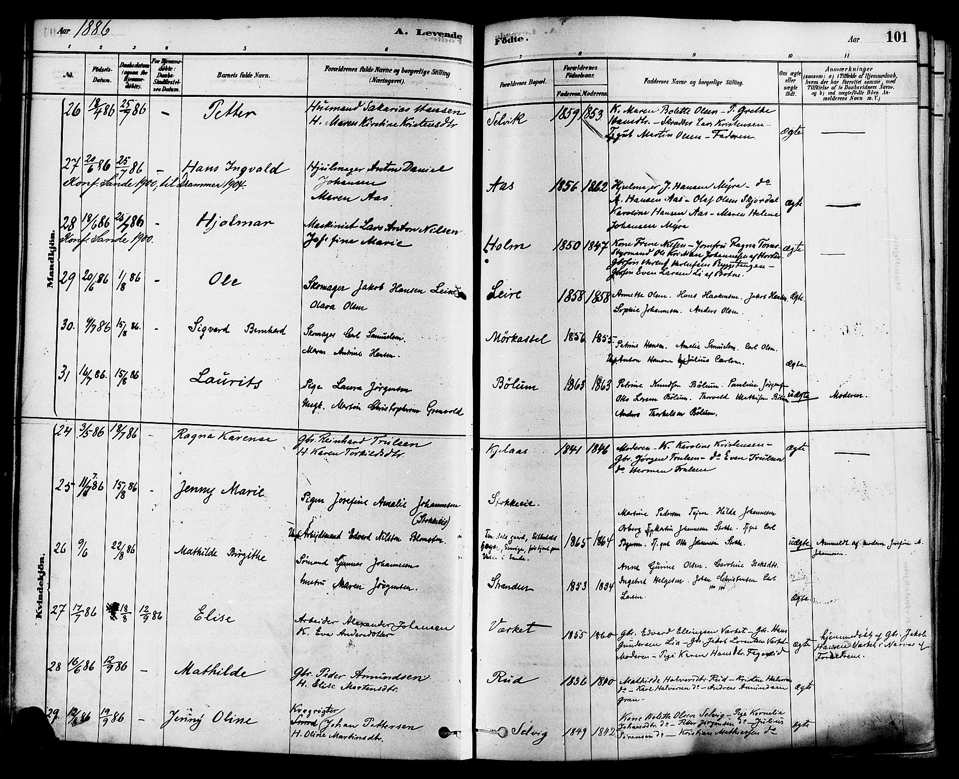 Sande Kirkebøker, AV/SAKO-A-53/F/Fa/L0006: Parish register (official) no. 6, 1878-1888, p. 101