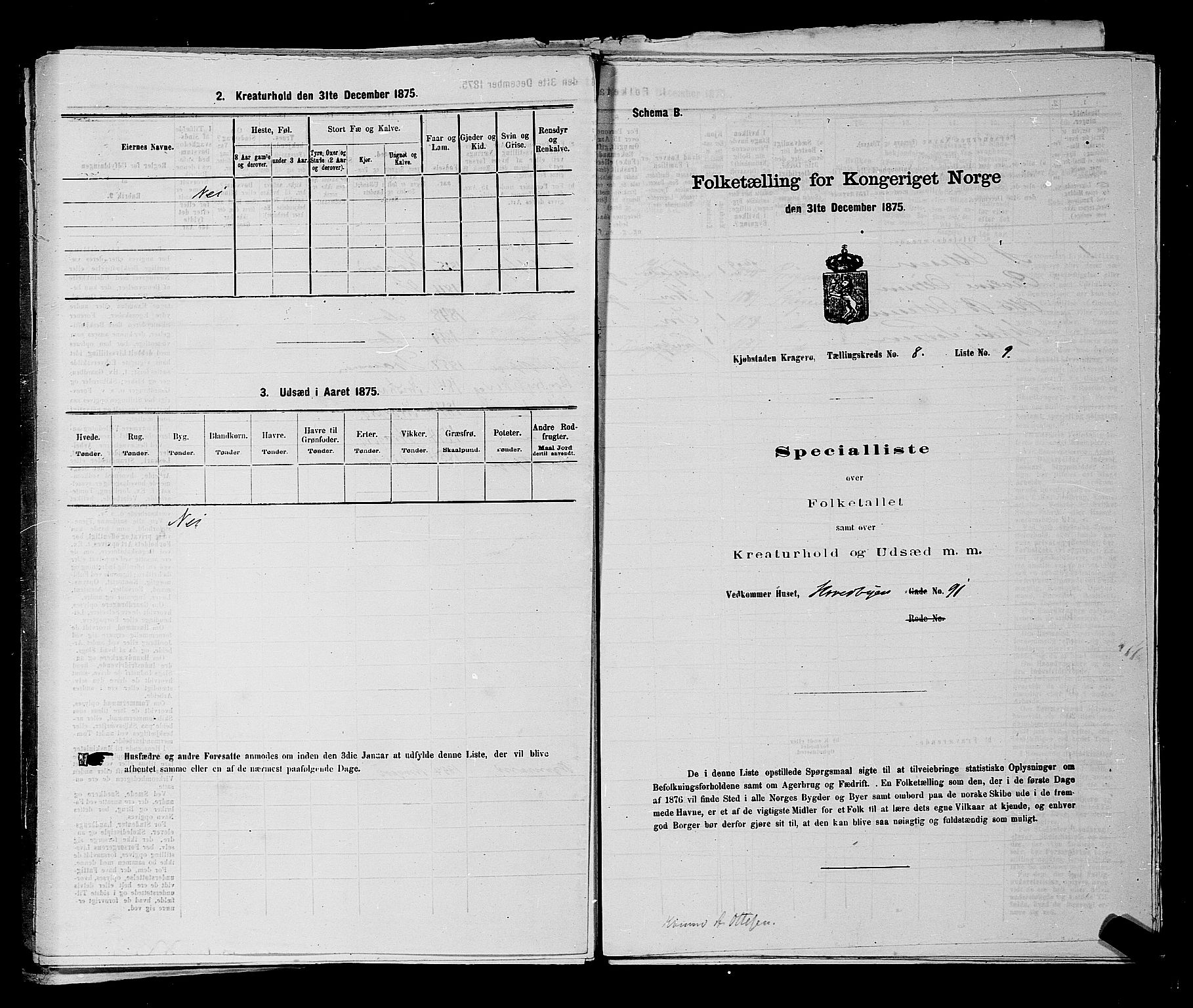 SAKO, 1875 census for 0801P Kragerø, 1875, p. 189