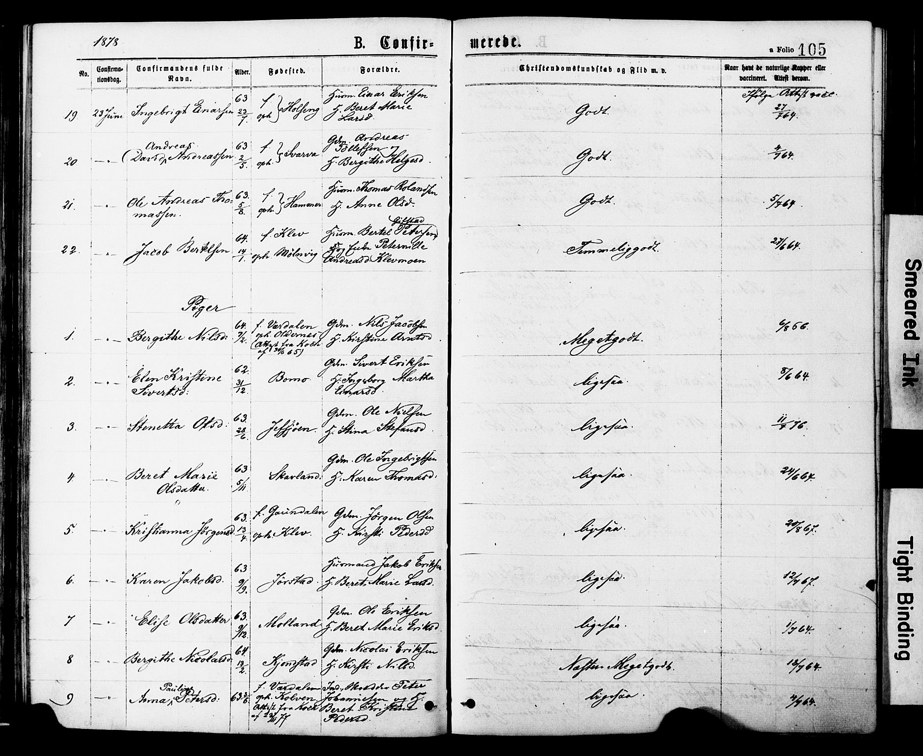 Ministerialprotokoller, klokkerbøker og fødselsregistre - Nord-Trøndelag, SAT/A-1458/749/L0473: Parish register (official) no. 749A07, 1873-1887, p. 105