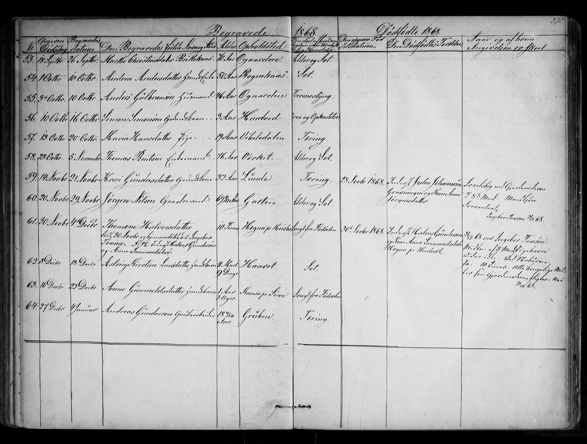 Holla kirkebøker, SAKO/A-272/G/Ga/L0004: Parish register (copy) no. I 4, 1867-1890, p. 372