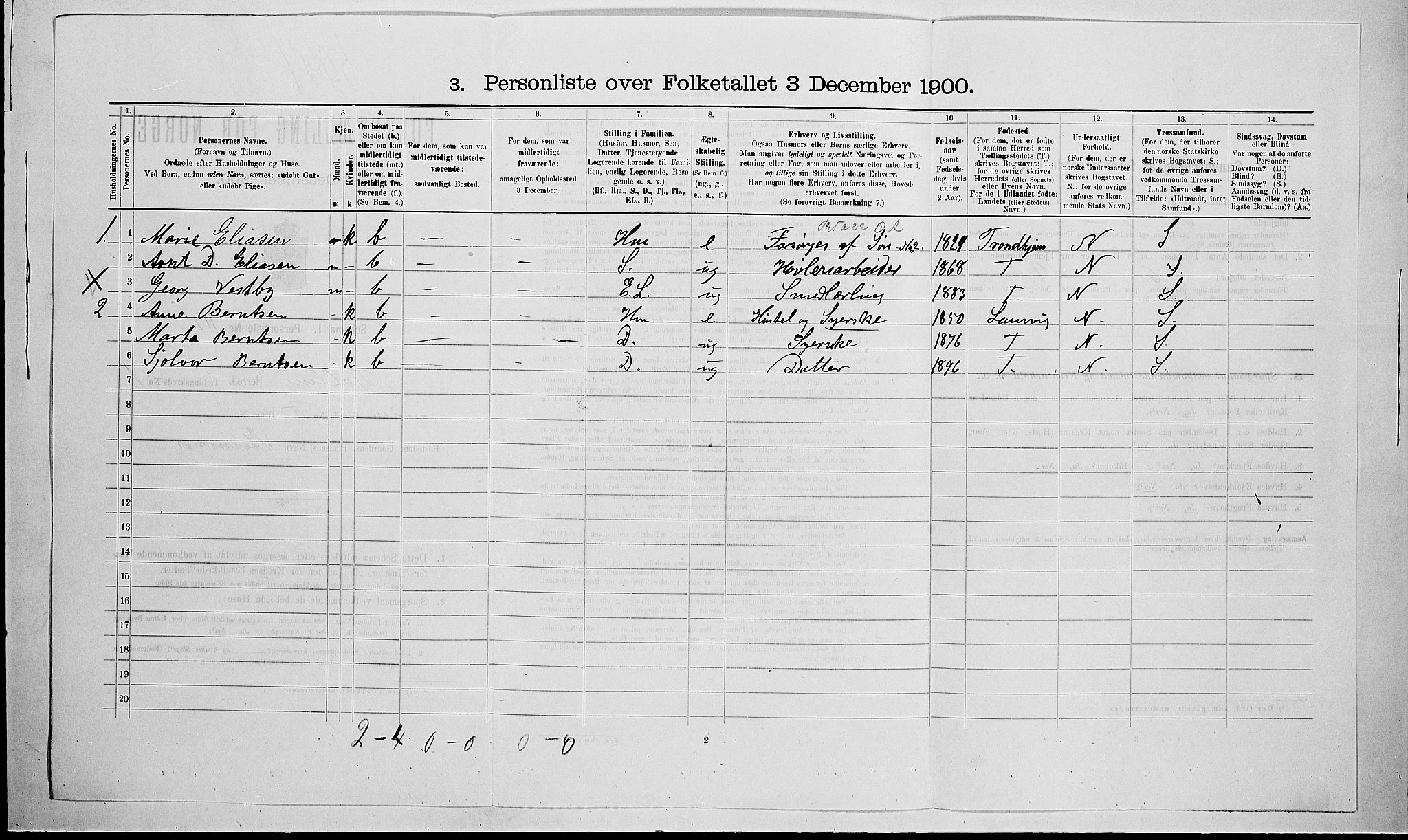 RA, 1900 census for Tjølling, 1900, p. 313