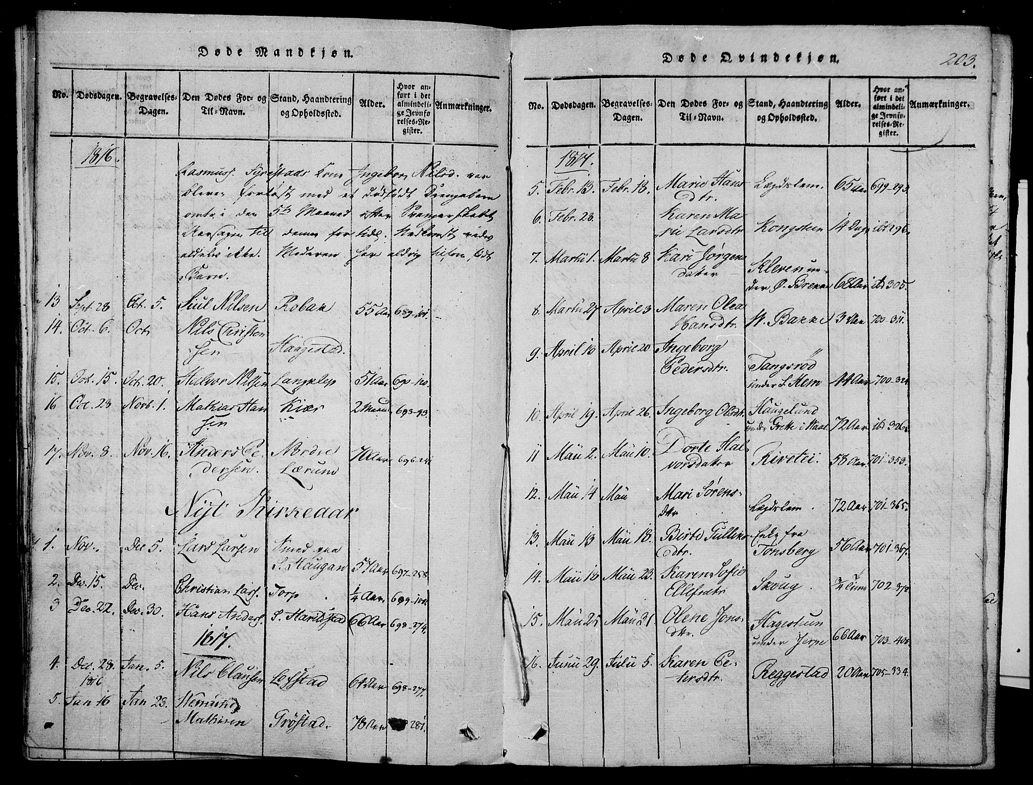 Våle kirkebøker, SAKO/A-334/F/Fa/L0007: Parish register (official) no. I 7, 1814-1824, p. 202-203