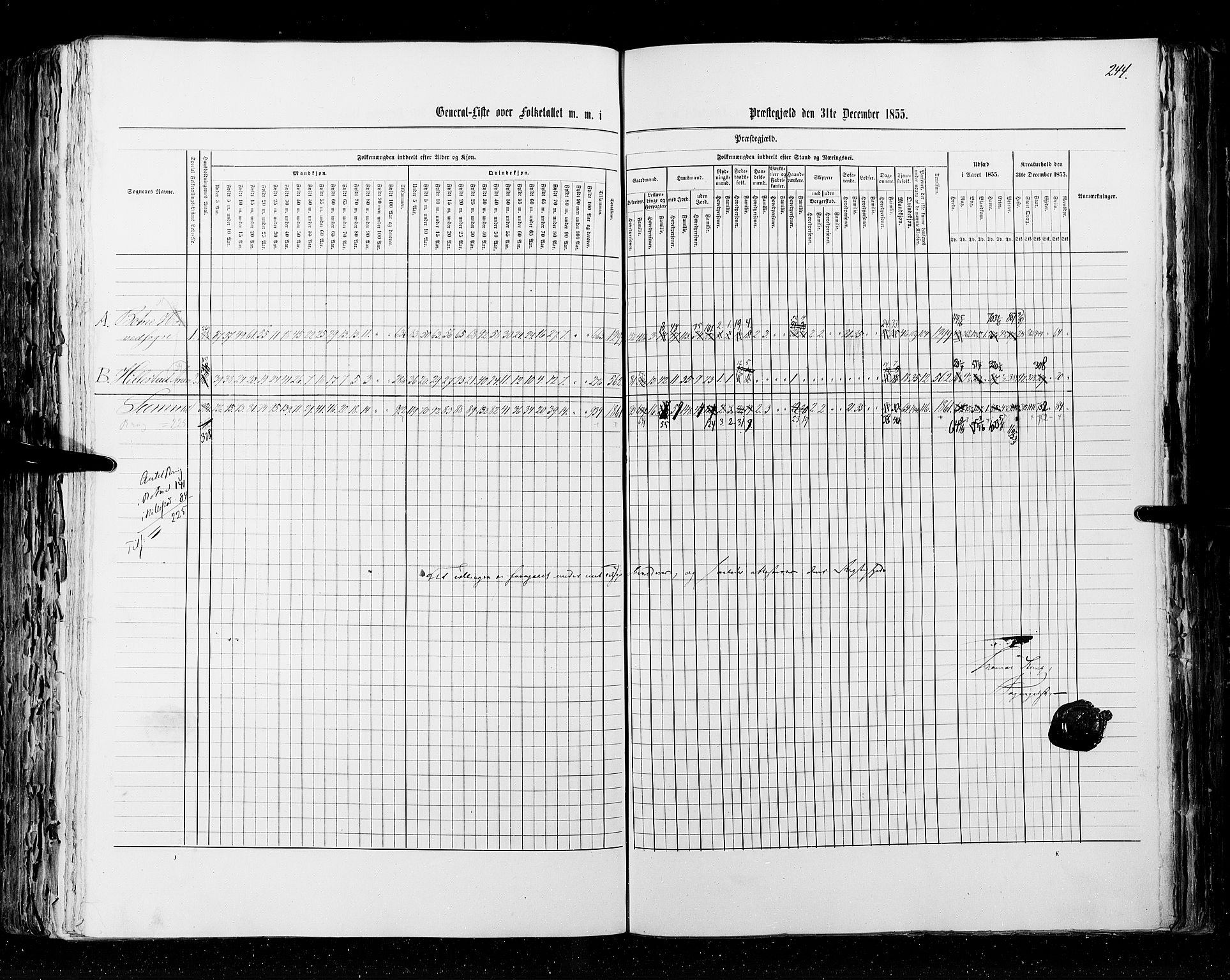 RA, Census 1855, vol. 2: Kristians amt, Buskerud amt og Jarlsberg og Larvik amt, 1855, p. 244