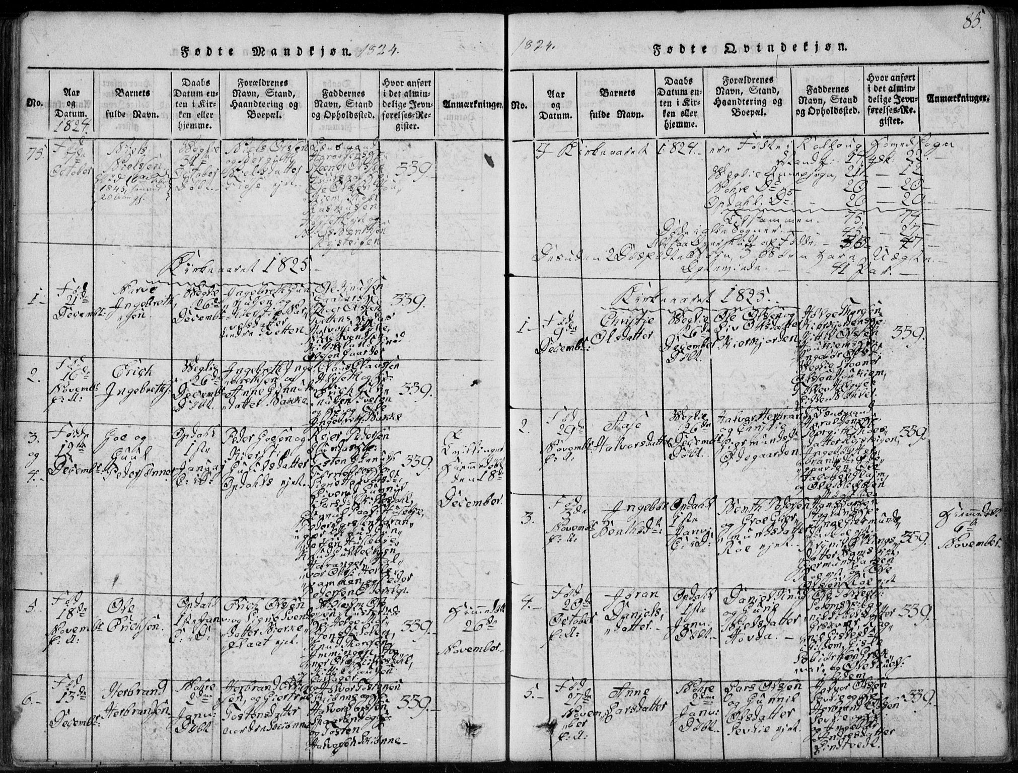 Rollag kirkebøker, SAKO/A-240/G/Ga/L0001: Parish register (copy) no. I 1, 1814-1831, p. 85