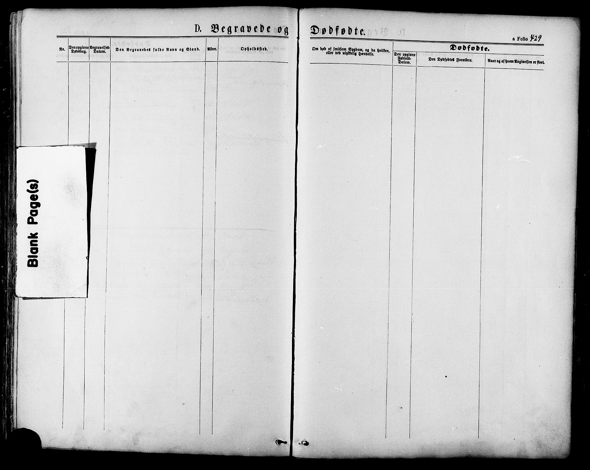 Ministerialprotokoller, klokkerbøker og fødselsregistre - Møre og Romsdal, AV/SAT-A-1454/568/L0806: Parish register (official) no. 568A12 /3, 1878-1884, p. 429