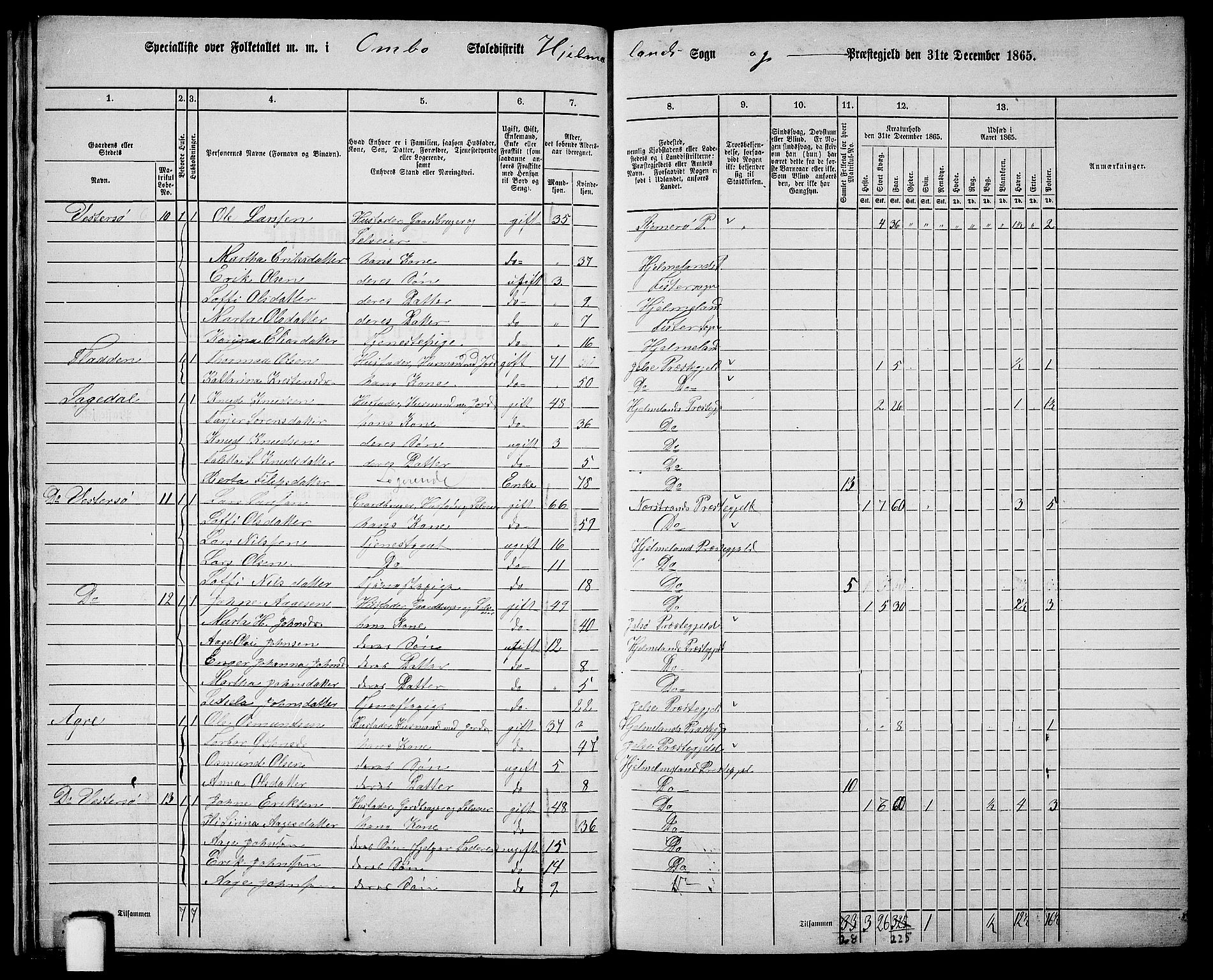 RA, 1865 census for Hjelmeland, 1865, p. 25