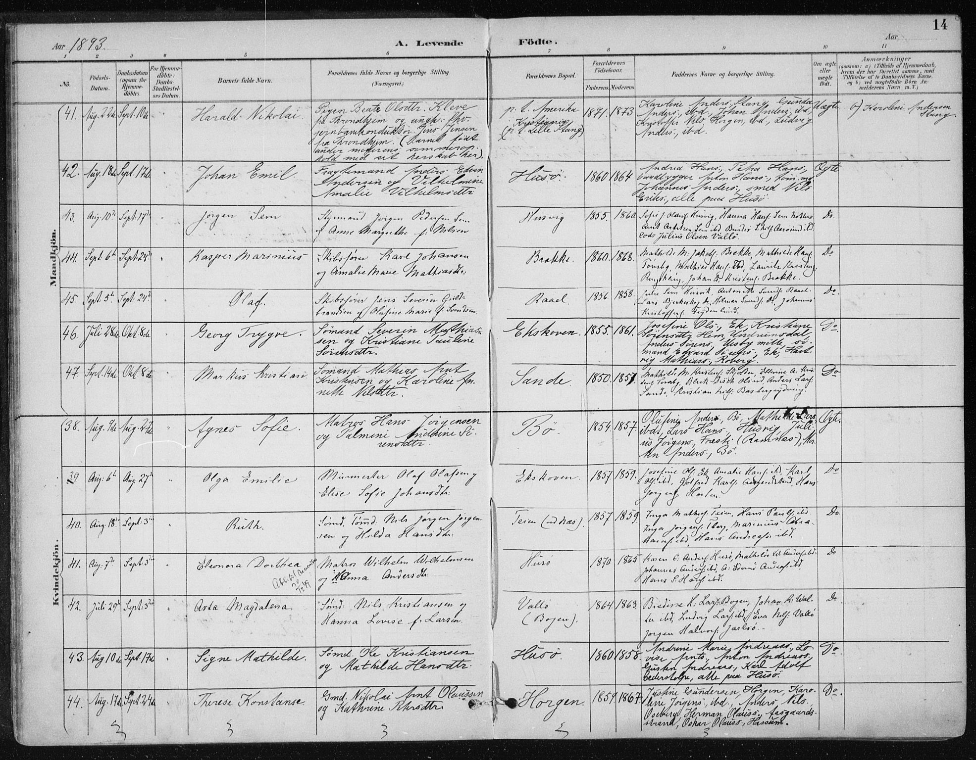 Sem kirkebøker, AV/SAKO-A-5/F/Fb/L0005: Parish register (official) no. II 5, 1892-1904, p. 14
