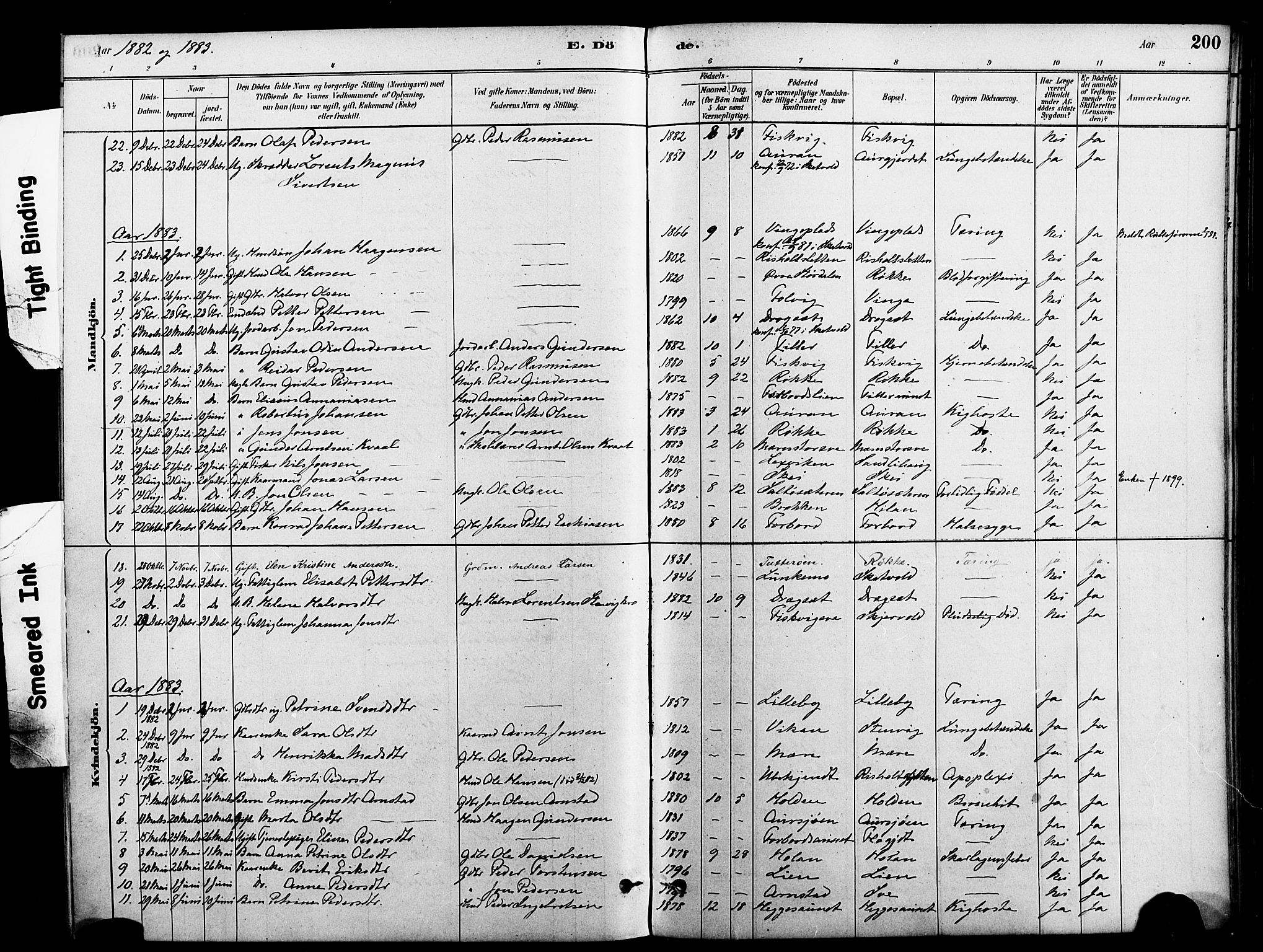 Ministerialprotokoller, klokkerbøker og fødselsregistre - Nord-Trøndelag, AV/SAT-A-1458/712/L0100: Parish register (official) no. 712A01, 1880-1900, p. 200
