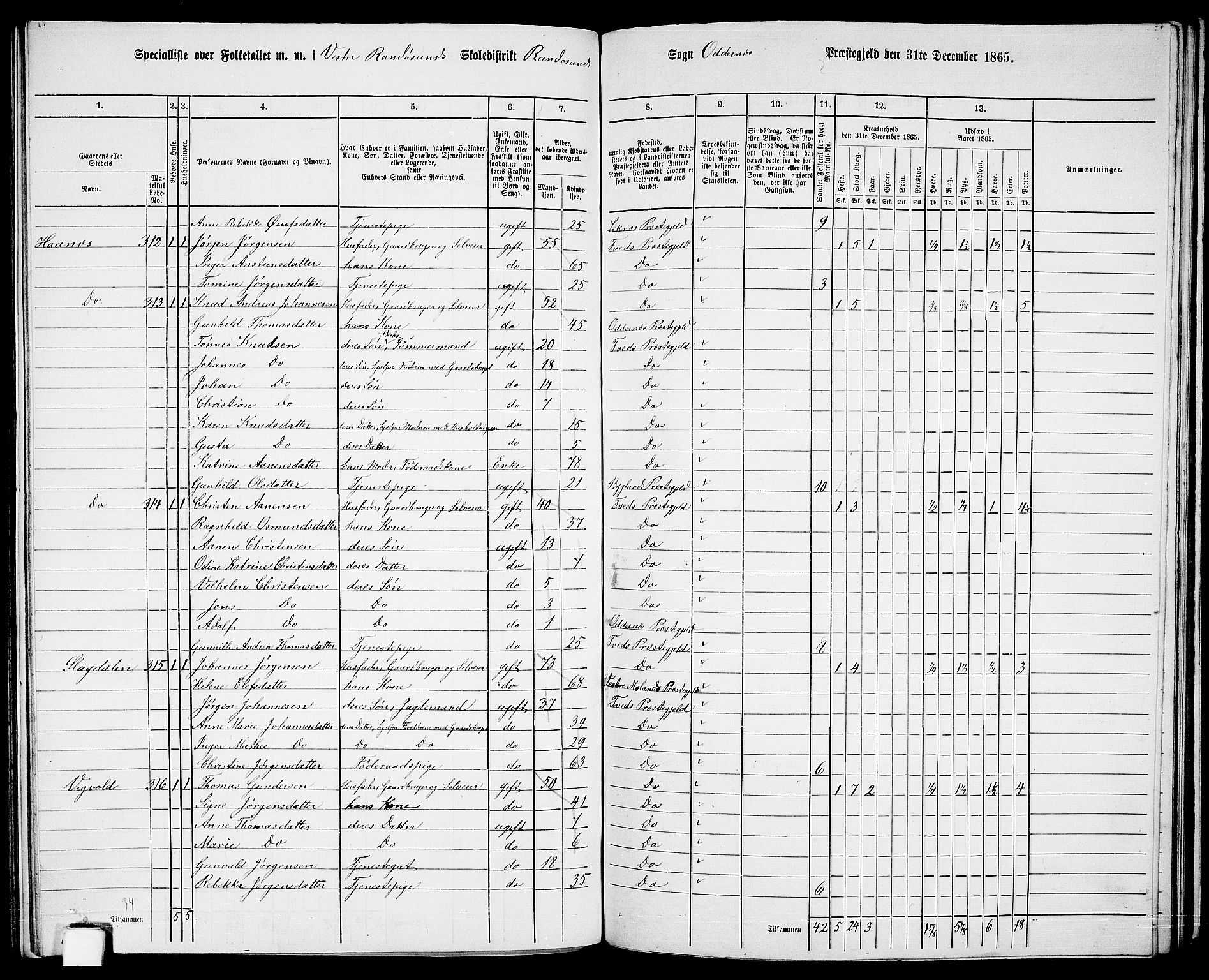 RA, 1865 census for Oddernes, 1865, p. 126