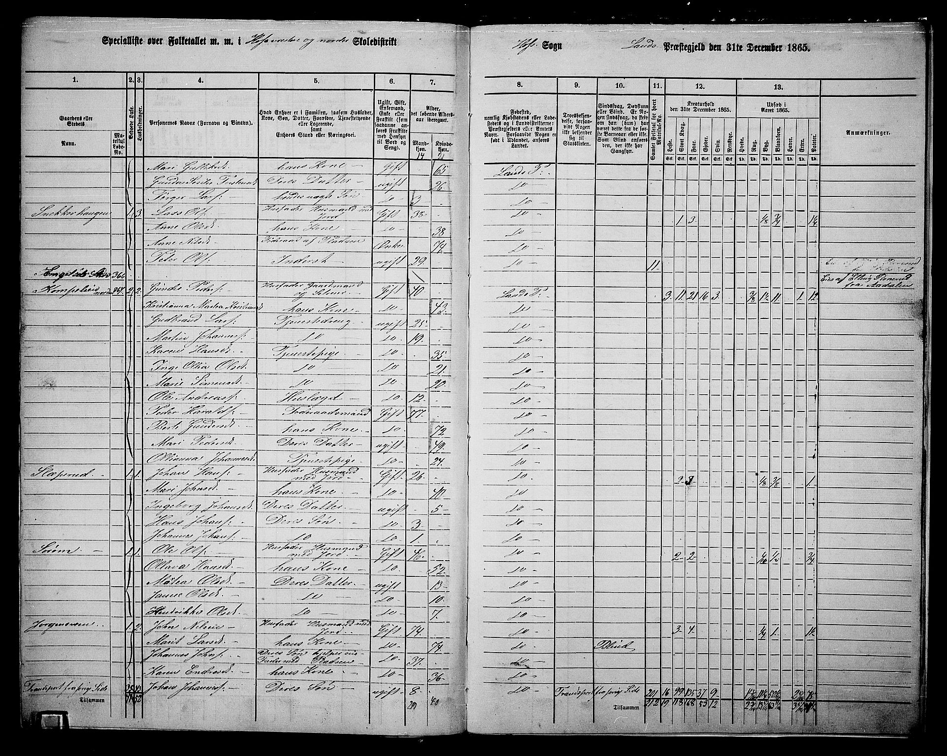 RA, 1865 census for Land, 1865, p. 419