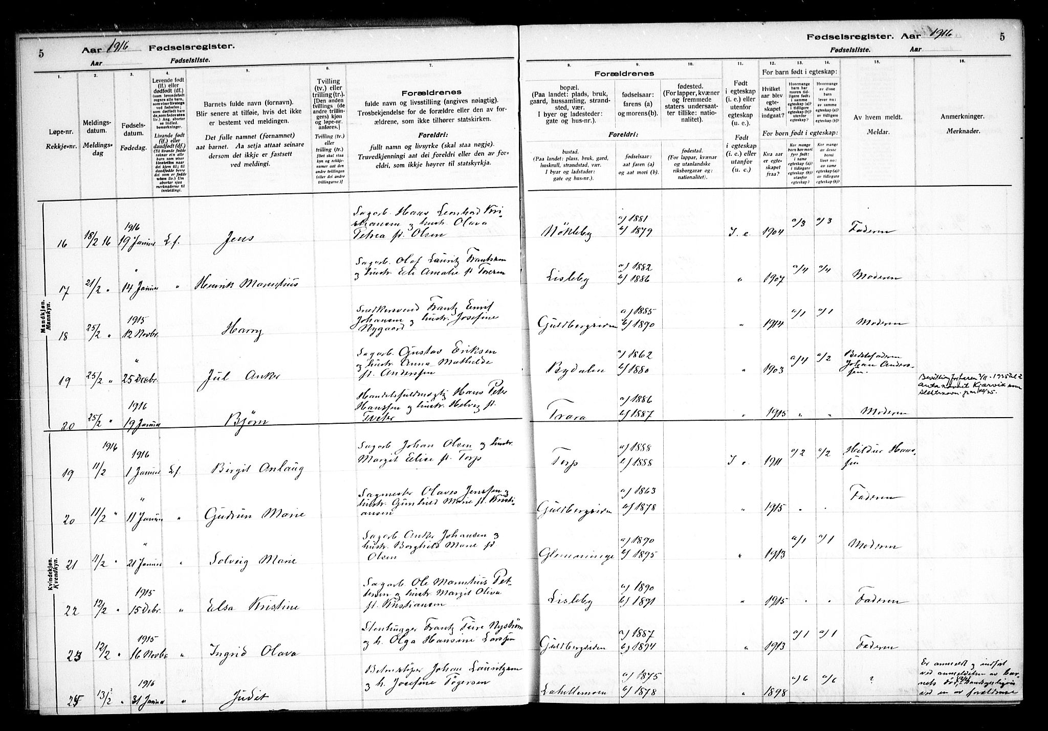 Glemmen prestekontor Kirkebøker, AV/SAO-A-10908/J/Ja/L0001: Birth register no. I 1, 1916-1922, p. 5