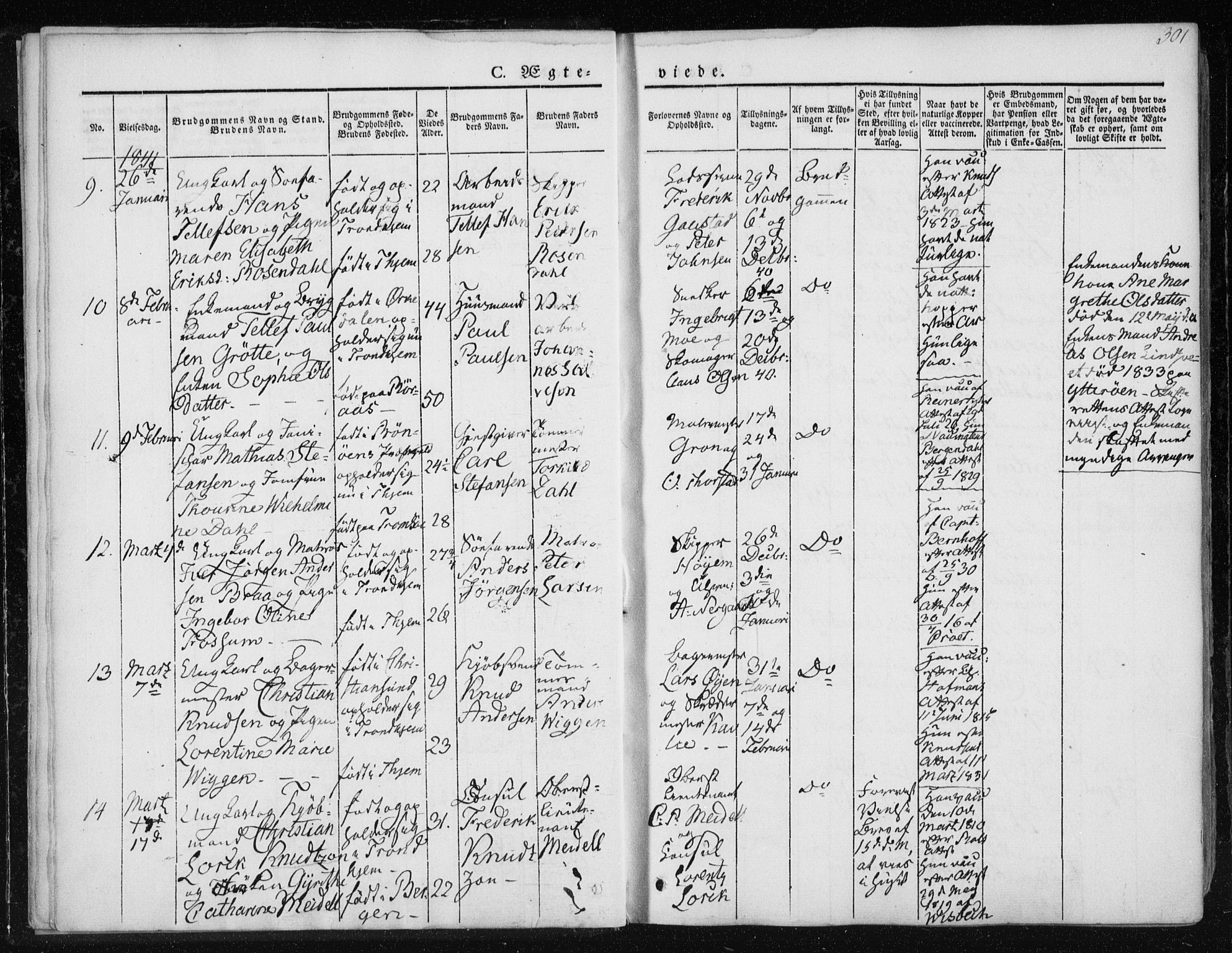 Ministerialprotokoller, klokkerbøker og fødselsregistre - Sør-Trøndelag, AV/SAT-A-1456/601/L0049: Parish register (official) no. 601A17, 1839-1847, p. 301