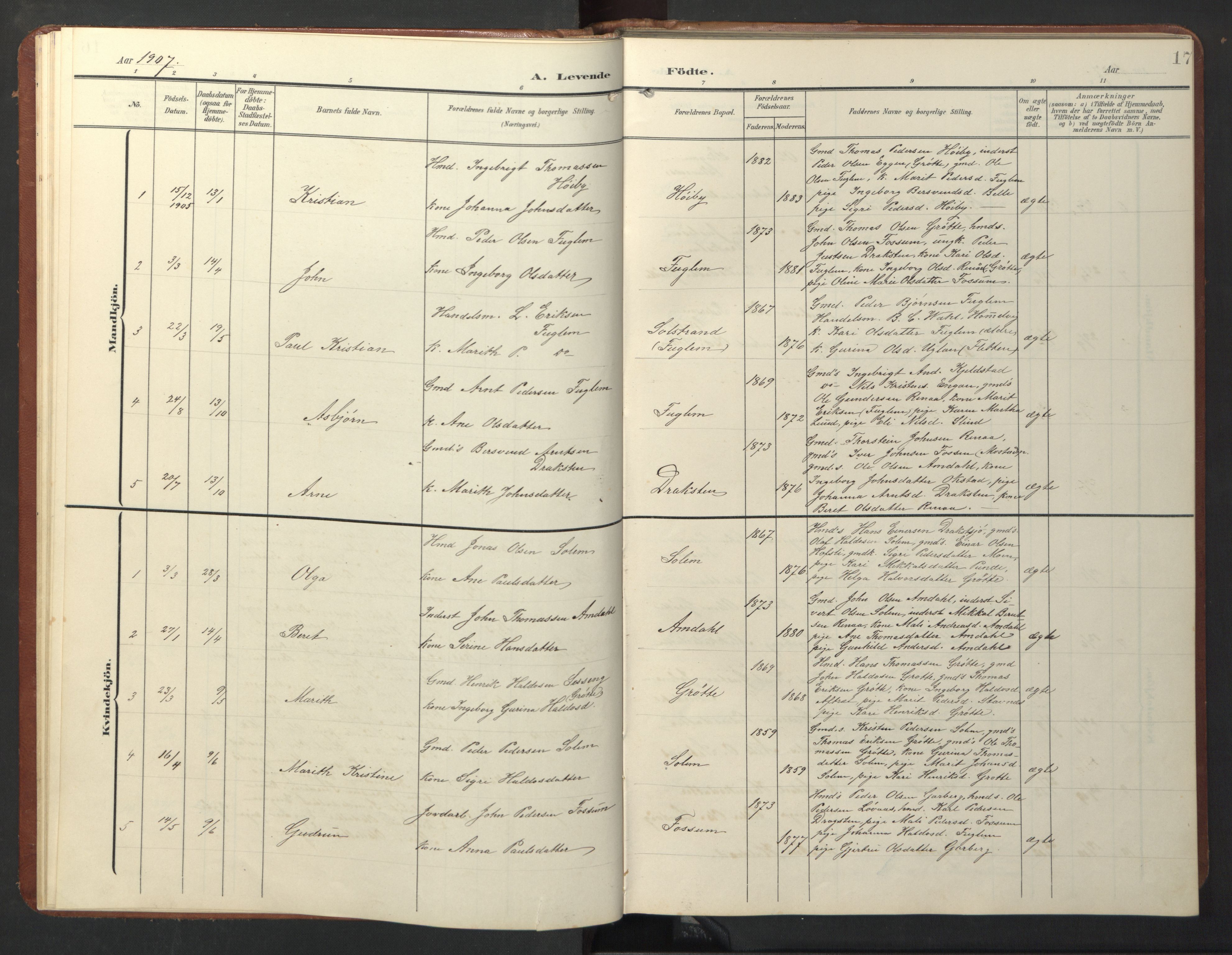 Ministerialprotokoller, klokkerbøker og fødselsregistre - Sør-Trøndelag, SAT/A-1456/696/L1161: Parish register (copy) no. 696C01, 1902-1950, p. 17