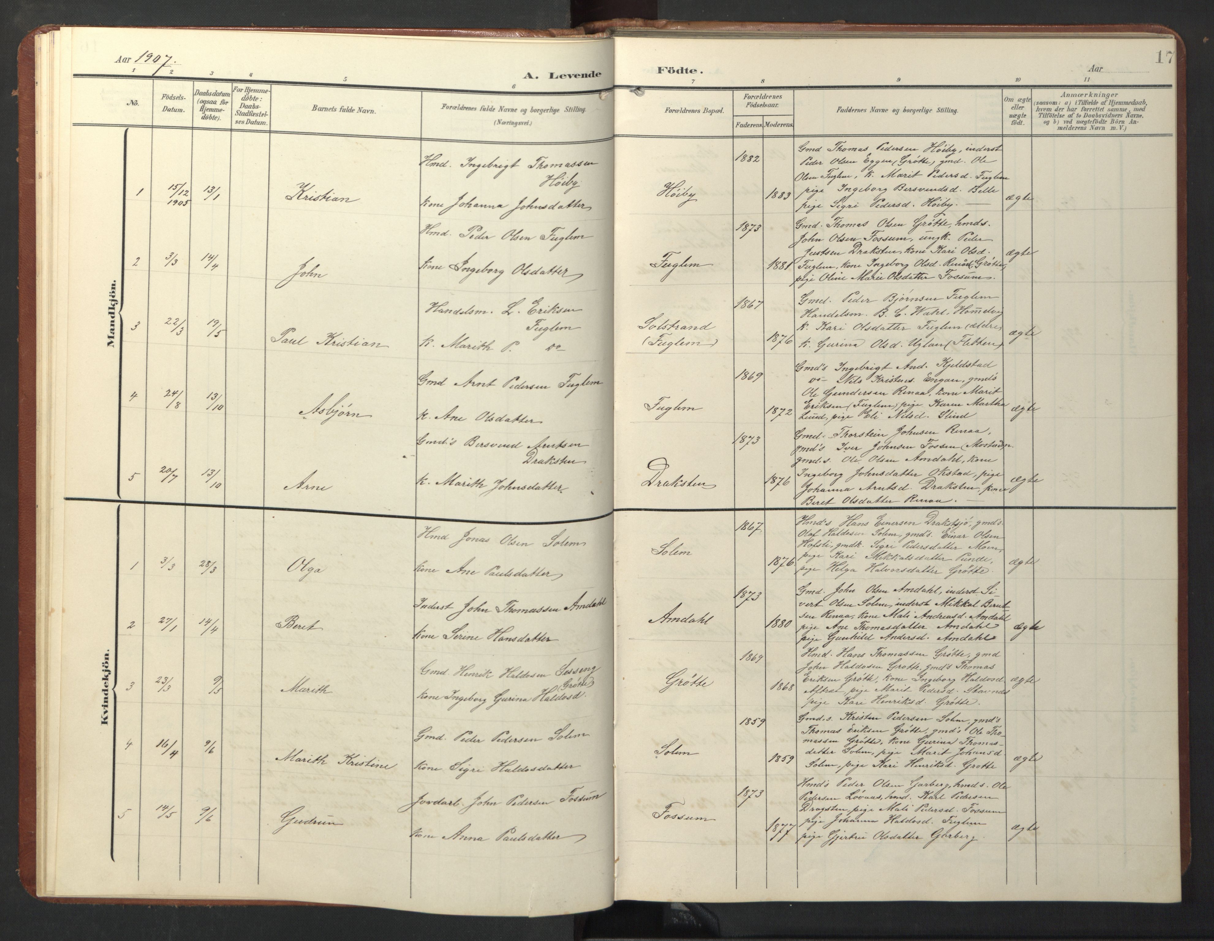 Ministerialprotokoller, klokkerbøker og fødselsregistre - Sør-Trøndelag, AV/SAT-A-1456/696/L1161: Parish register (copy) no. 696C01, 1902-1950, p. 17