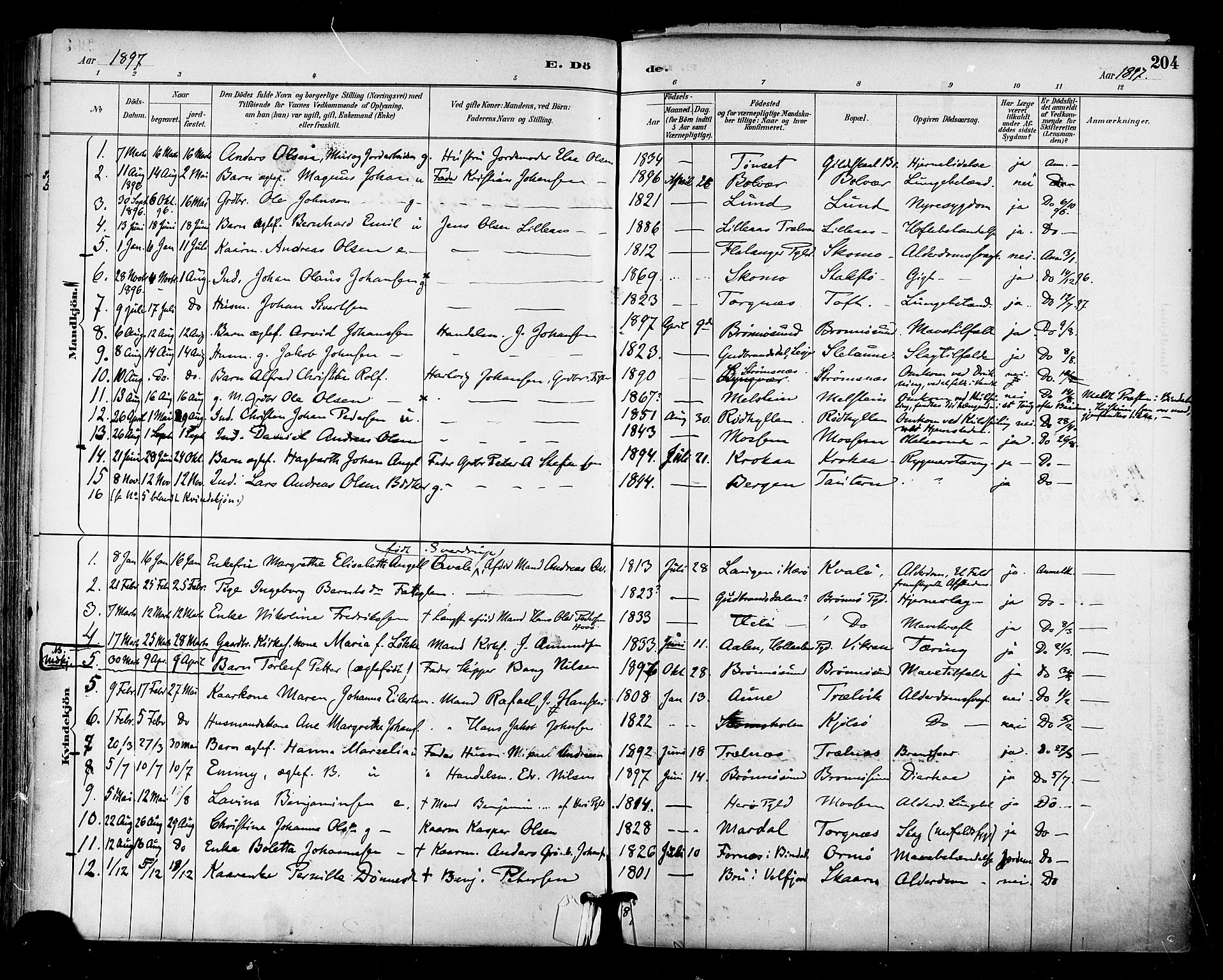 Ministerialprotokoller, klokkerbøker og fødselsregistre - Nordland, SAT/A-1459/813/L0200: Parish register (official) no. 813A10, 1886-1900, p. 204
